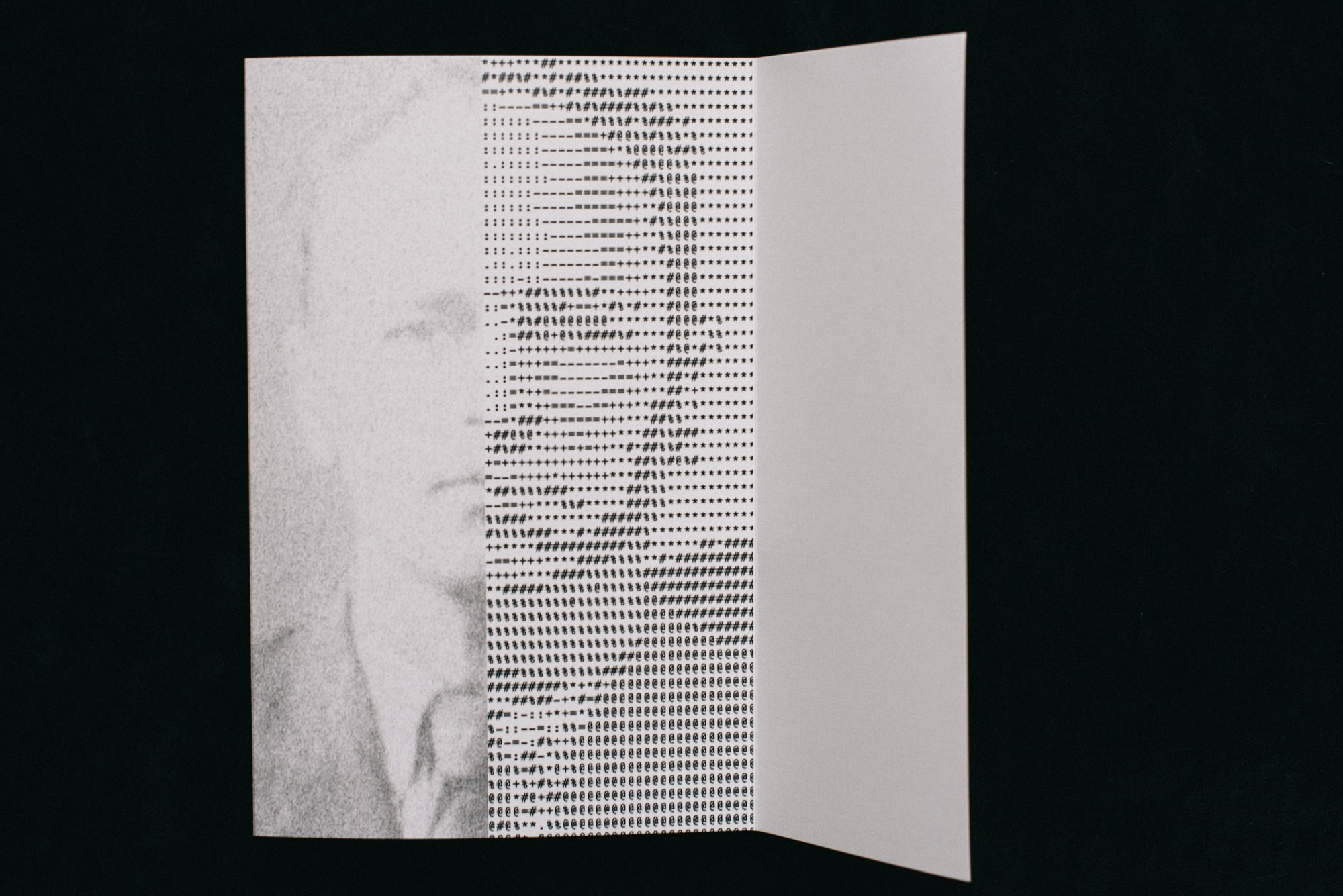 Цифровые тени слов. Художница Юлия Павлова