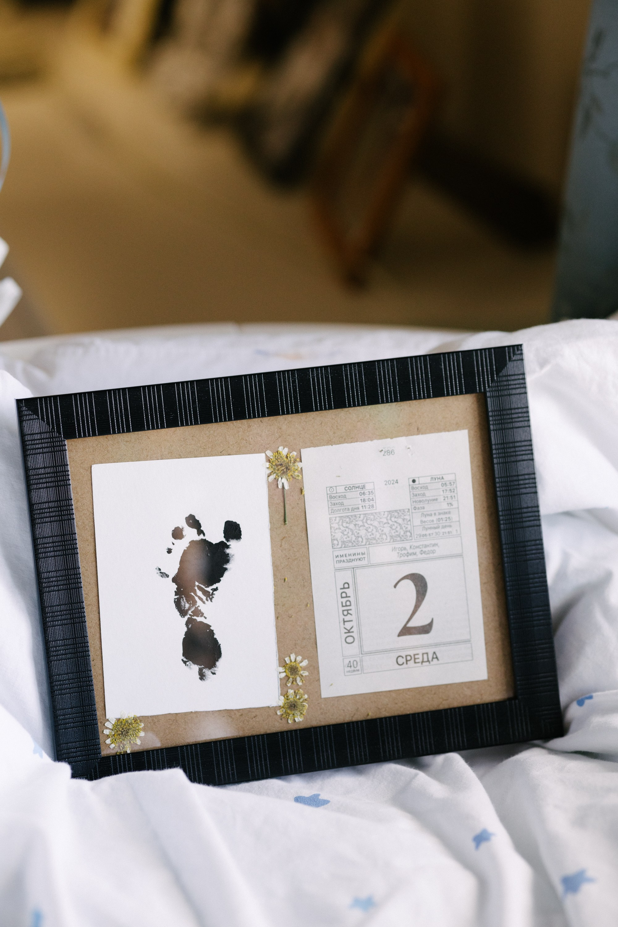 Алеся и семья. Свадебный и семейный фотограф в Смоленске Галина Егорова