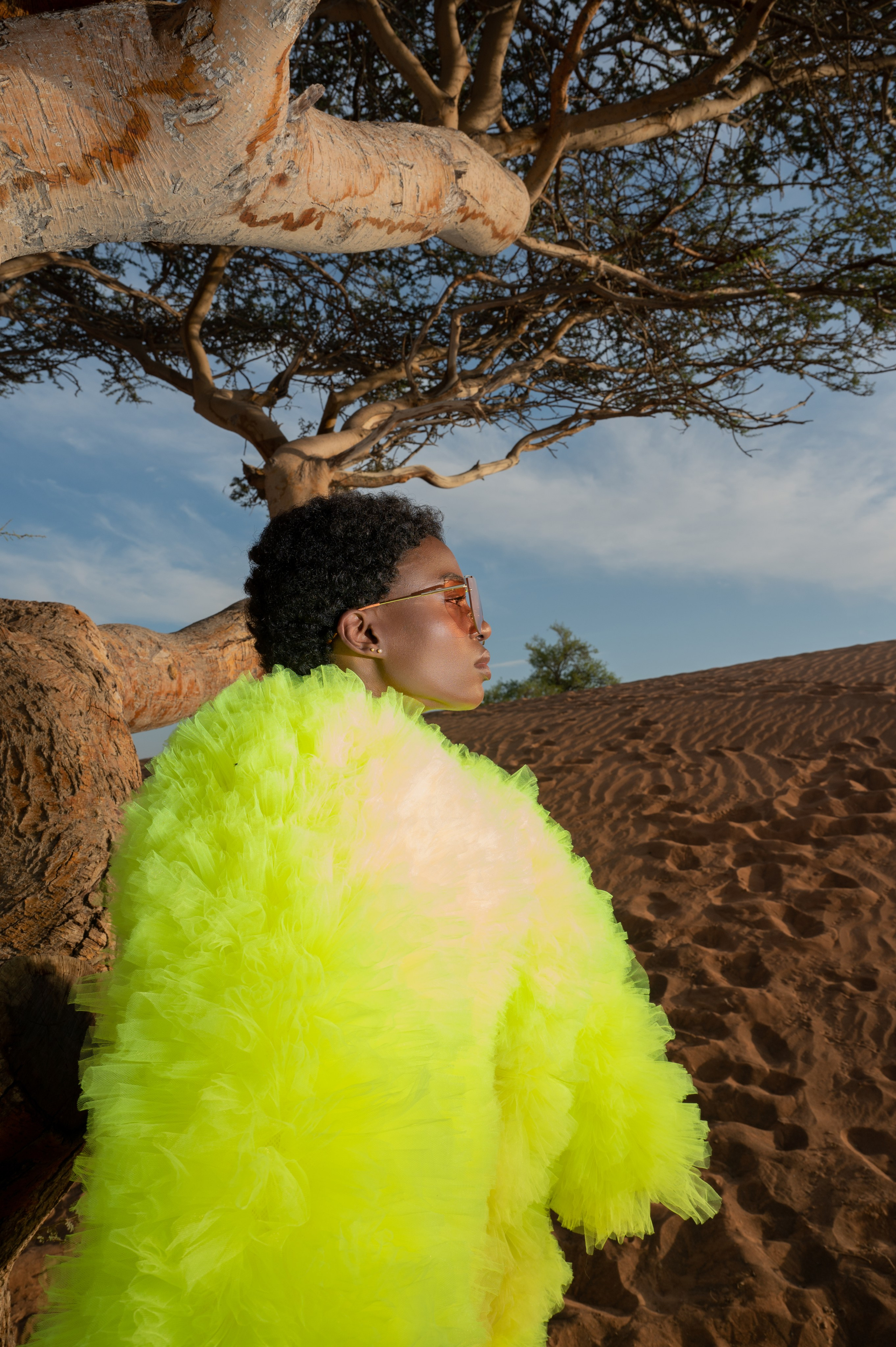 Fairy bird. Коммерческий фотограф Москва /Дубай, эксклюзивные фэшн фотосессии
