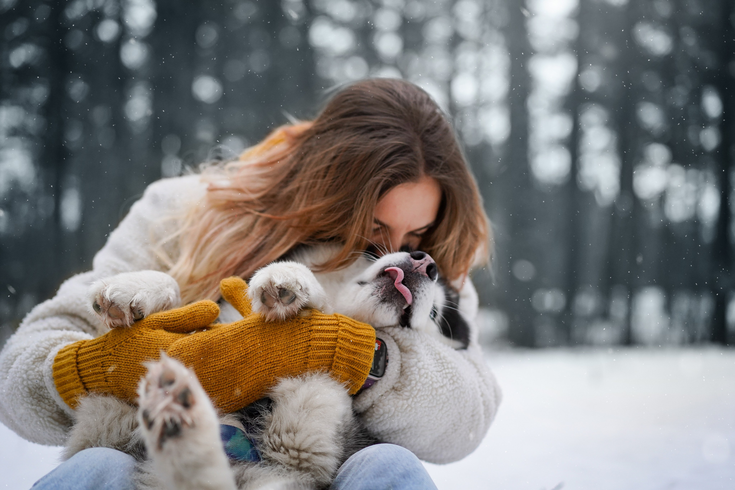 Лора Джанго и Хэппи. Фотограф-анималист в Санкт-Петербурге Яна Мартынова