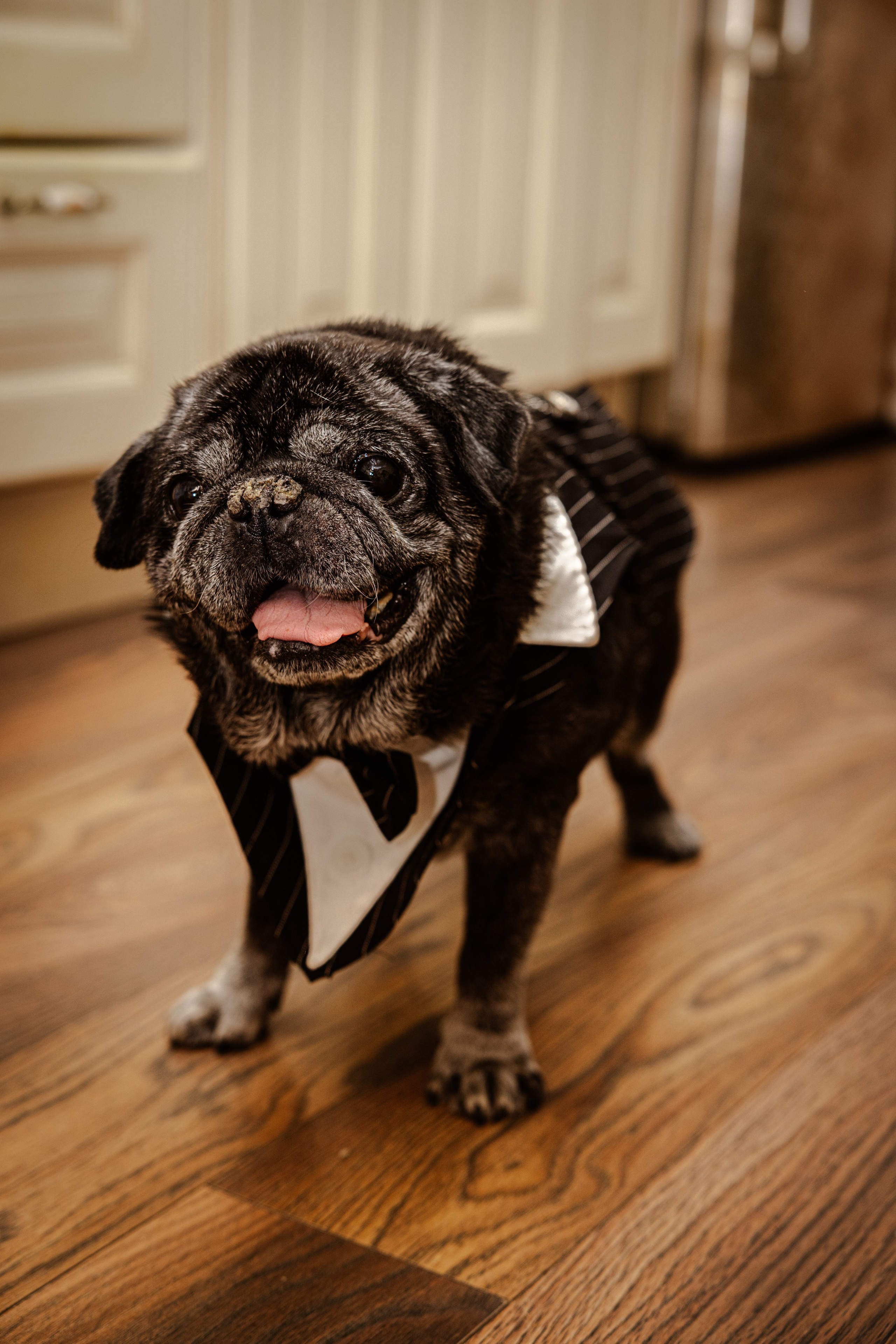 Свадьба Ксении и Думитру. Виктория Зудина — фотограф в Москве