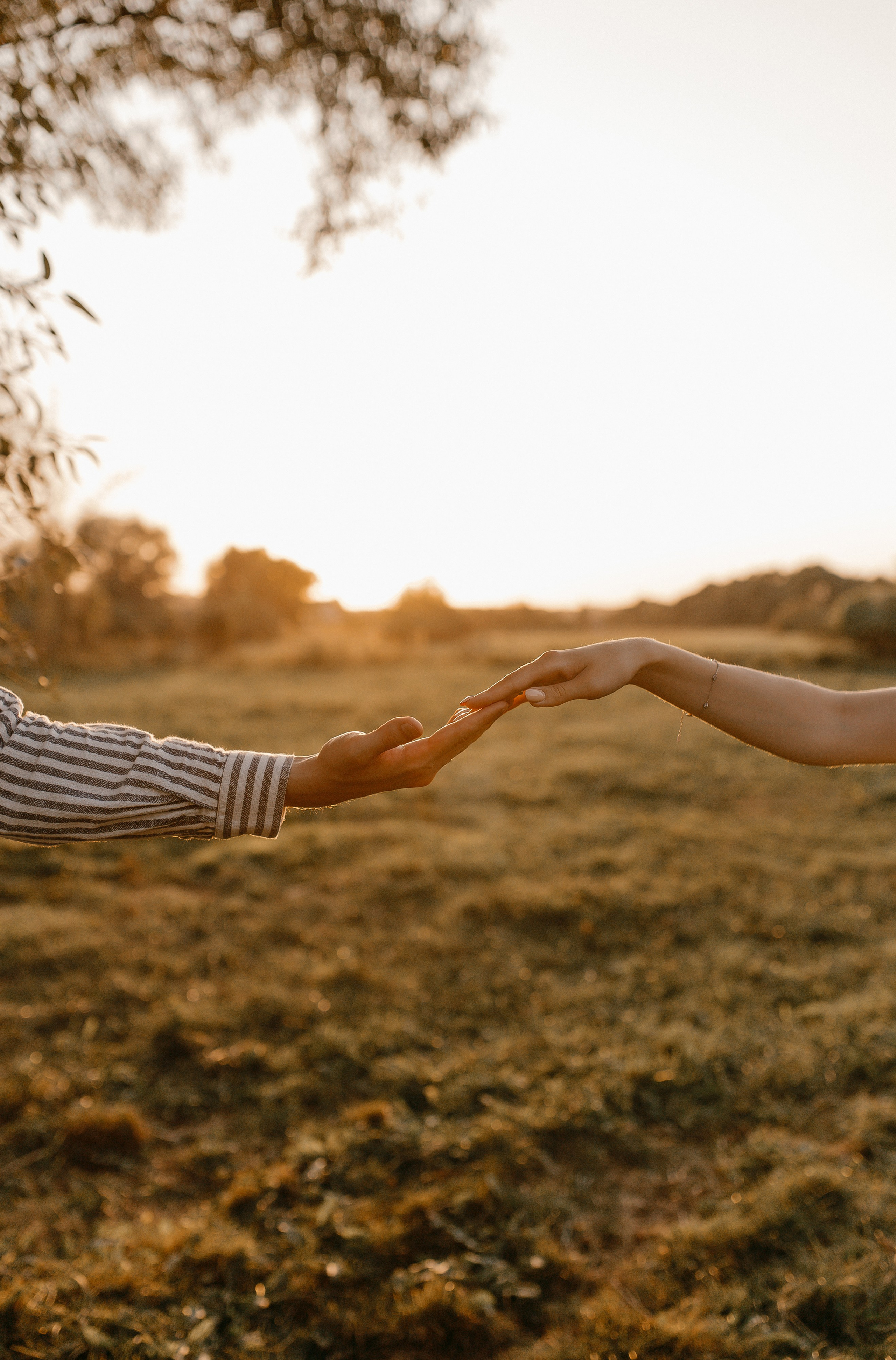 4 поколения. Семейный фотограф Губкин/Старый Оскол