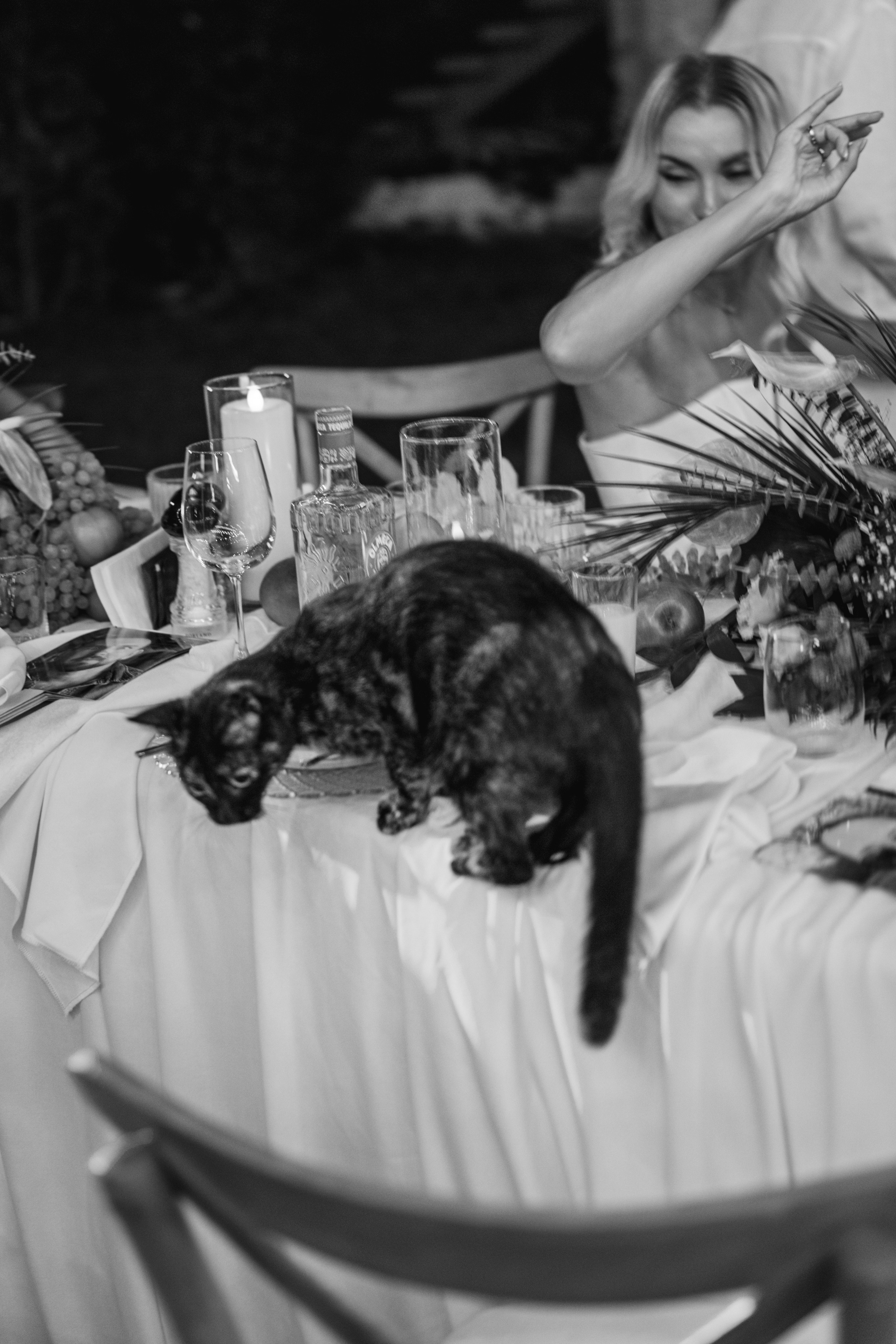 A German wedding among palms. Wedding & Documentary Photographer based in Nuremberg — available across Europe & Turkey | Vitalii Nasonov