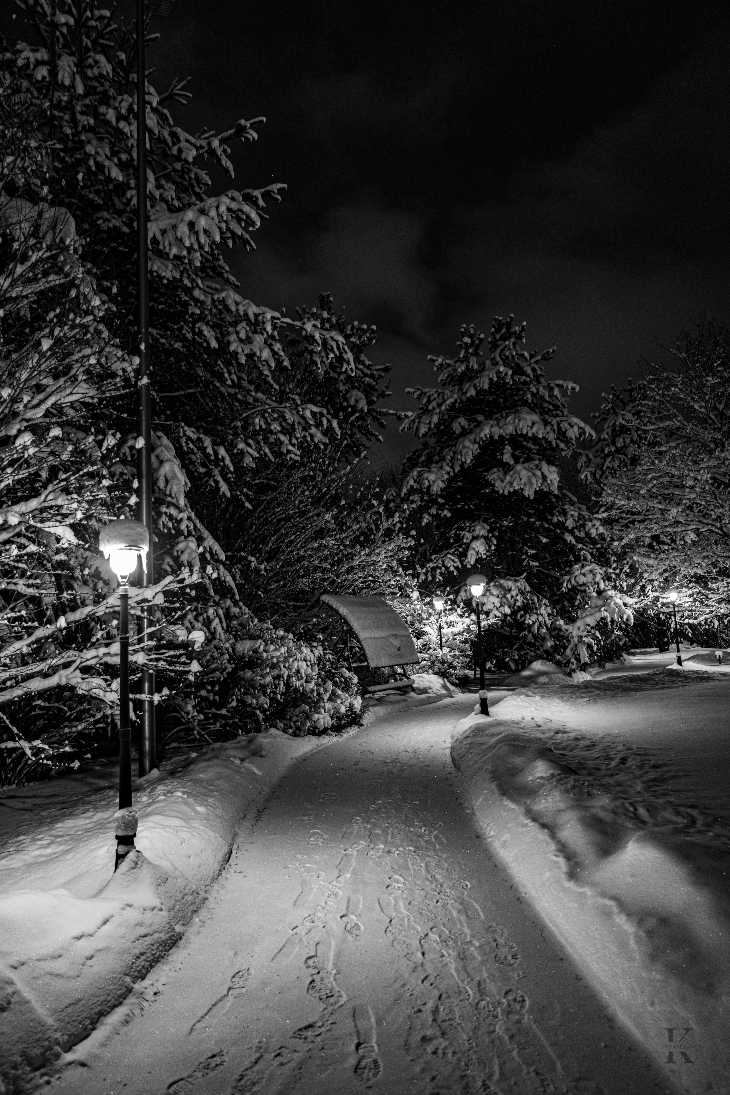 Природа 31 Декабря 2025 года. Клены. Фотографирую жизнь! Московский фотограф волонтер