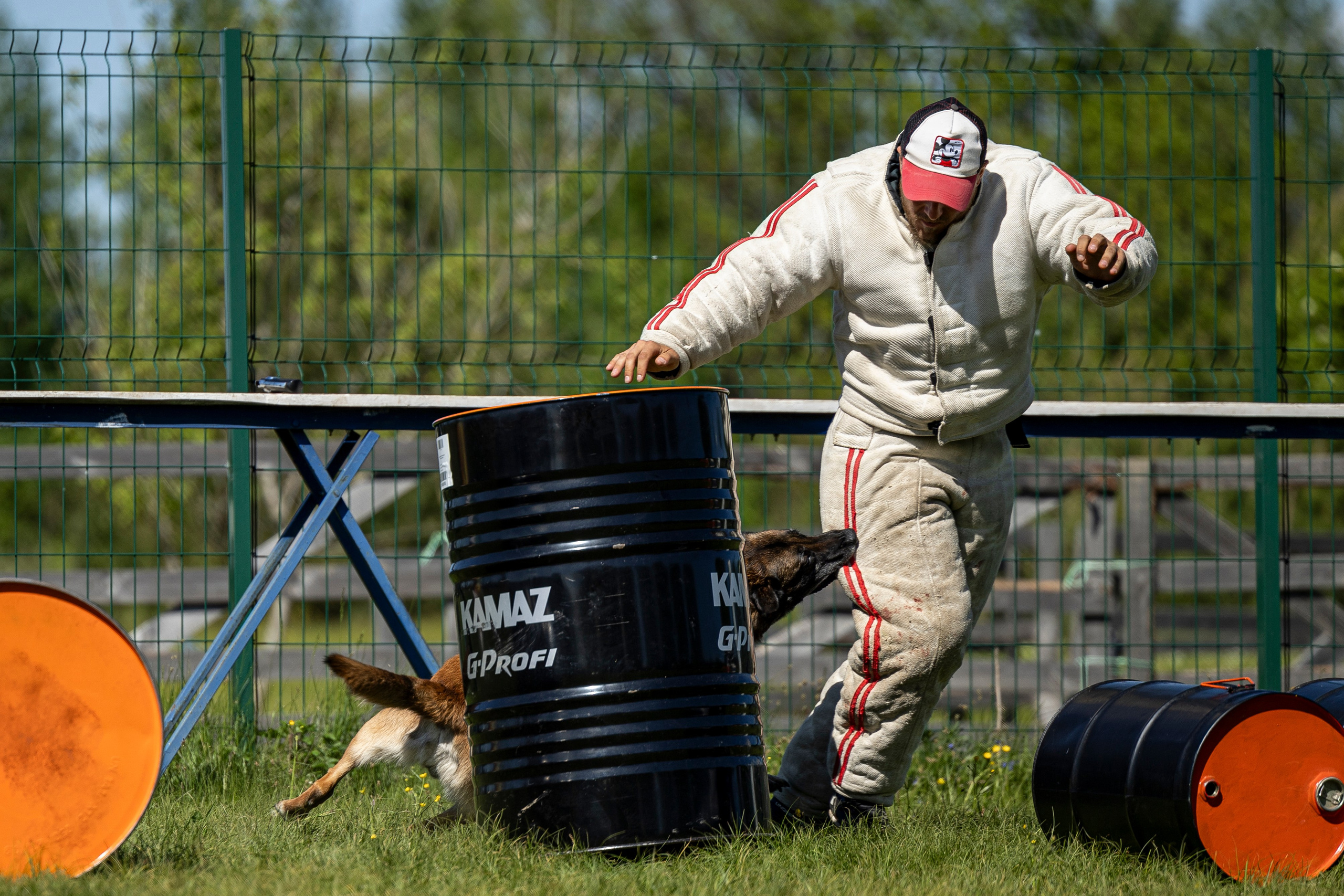 Испытания по мондьорингу в Нижнем Новгороде. Фотограф-анималист Анна Маринич