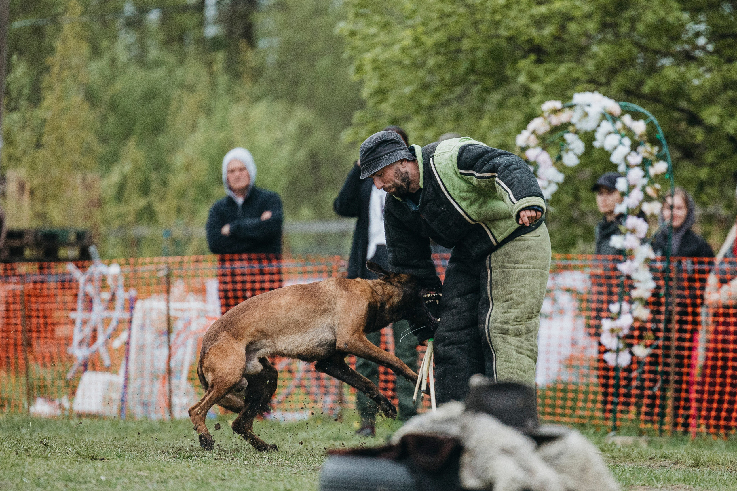 26.05.25 г. Пушкин квалификационные соревнования. Фотограф-анималист Анна Маринич