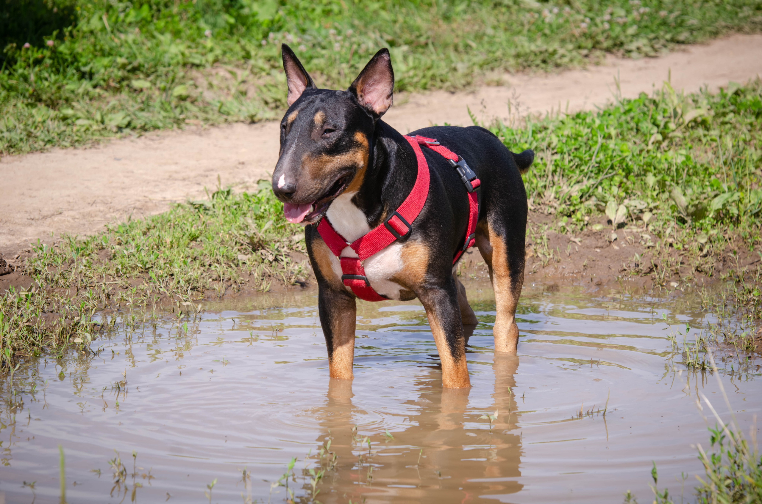 Прогулка (Лохин остров). Фотограф Светлана Блинова, Москва и Московская область