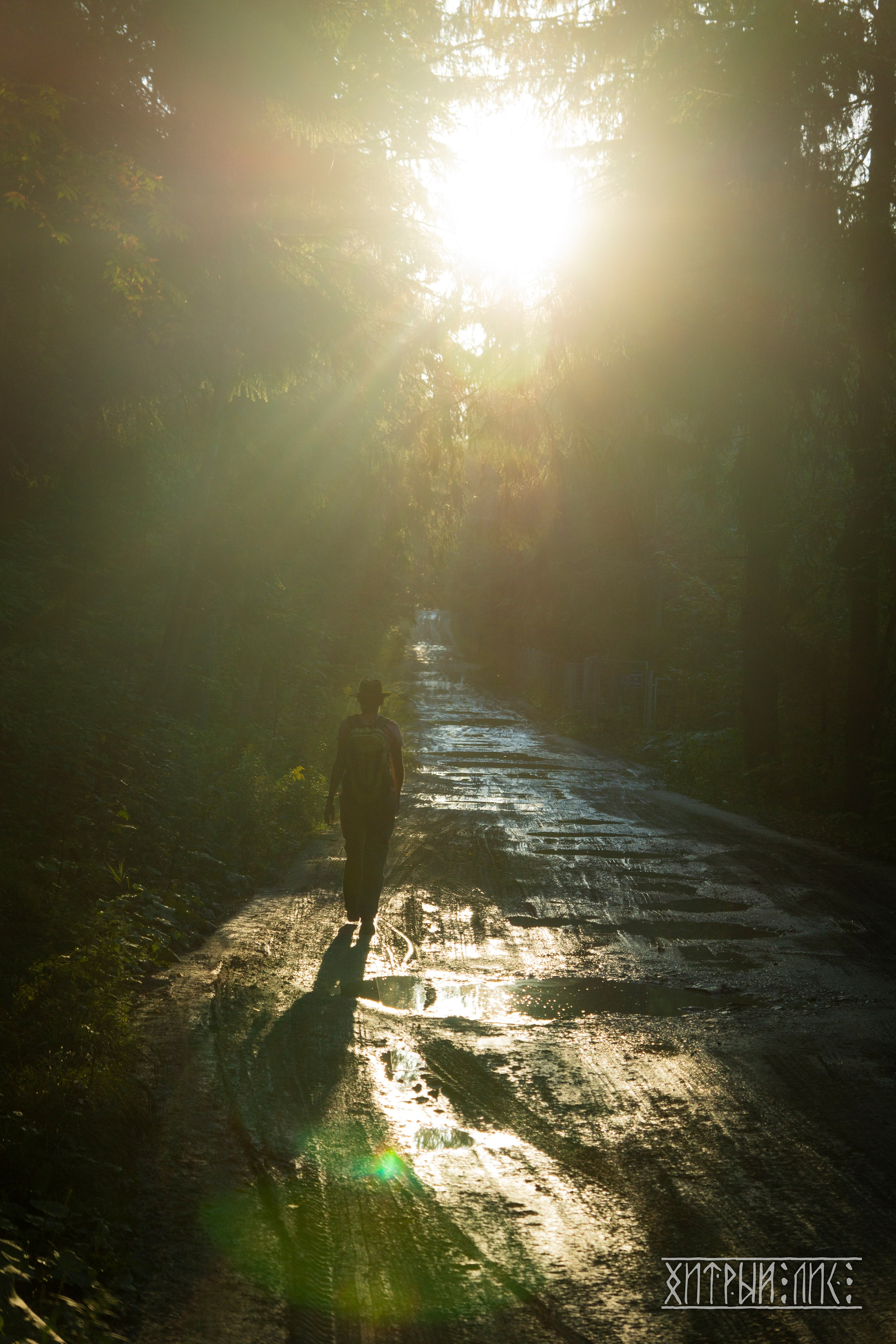 Сахалин. Фотограф-путешественник Самойлов Максим «Sly Fox»