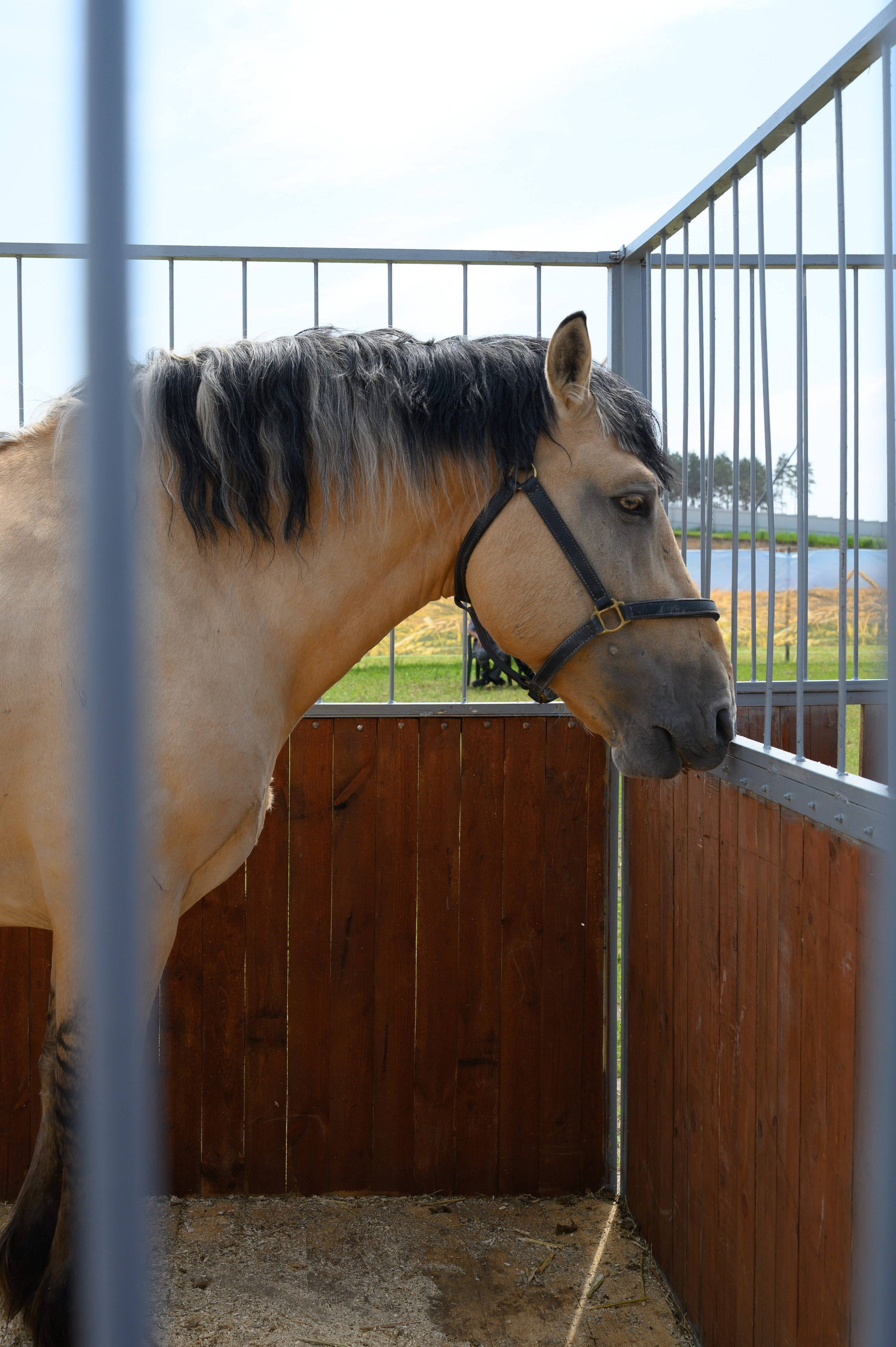 Агровыставка. Фотоуслуги, услуги фотографа, фотографирование важных событий