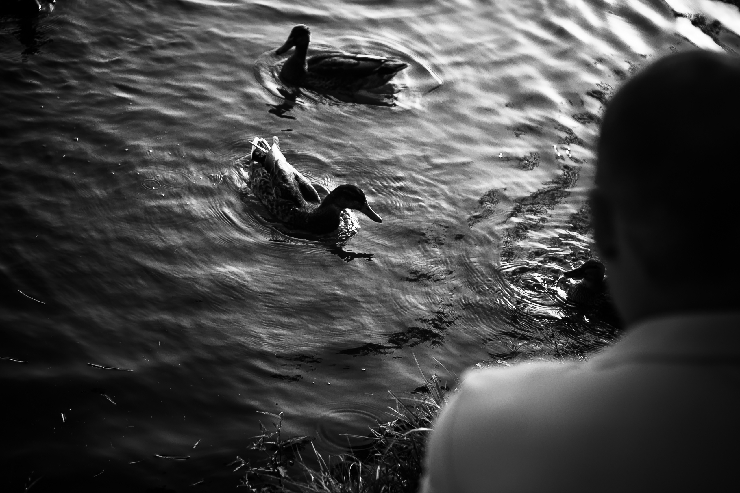 F A M I L Y. Фотограф в Батуми Павел Шарников