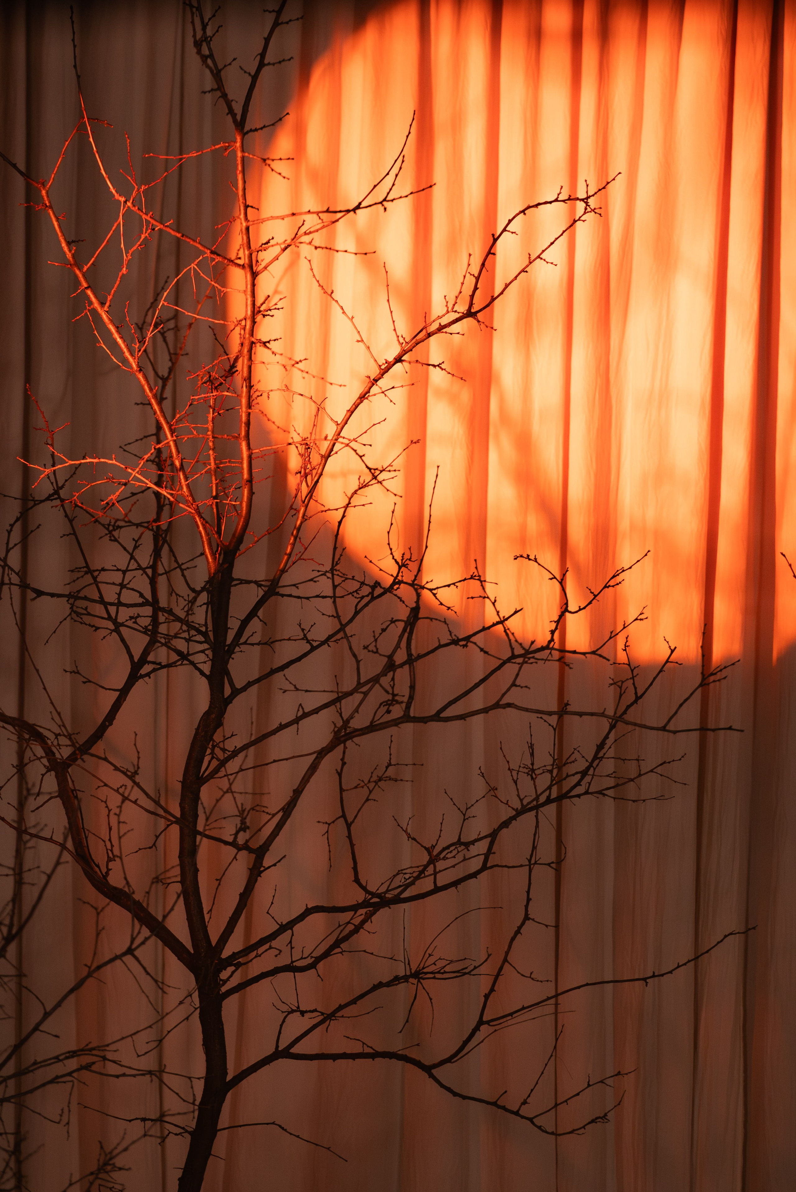 5 БРАНЧ. Свадебный и семейный фотограф в Рязани — Москве Екатерина Ермакова