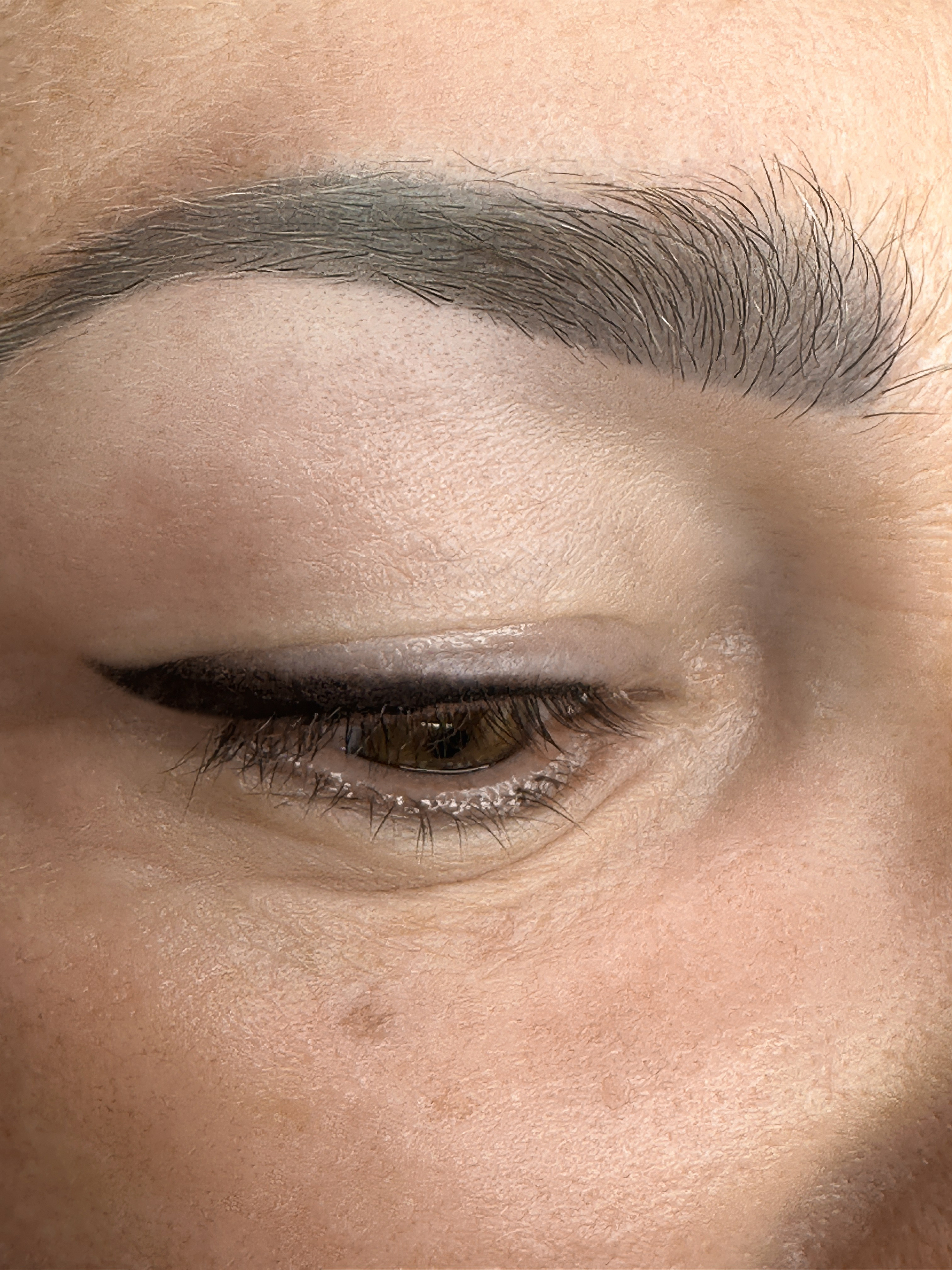 Перманентный макияж. Перманент PigmentLab Olga