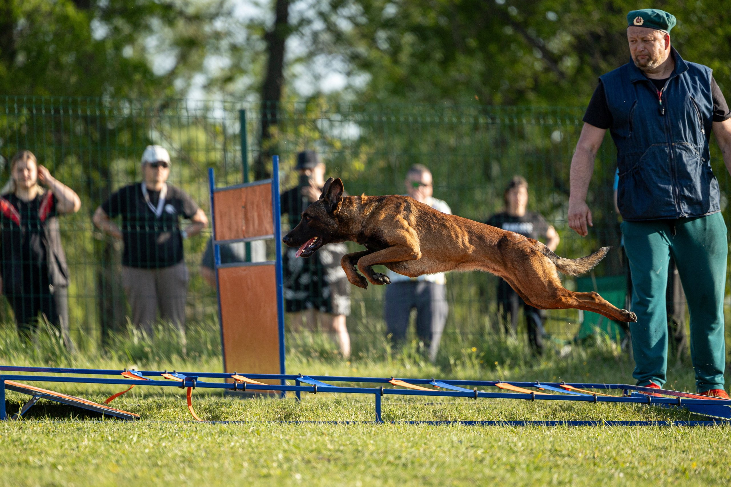 Испытания по мондьорингу в Нижнем Новгороде. Фотограф-анималист Анна Маринич
