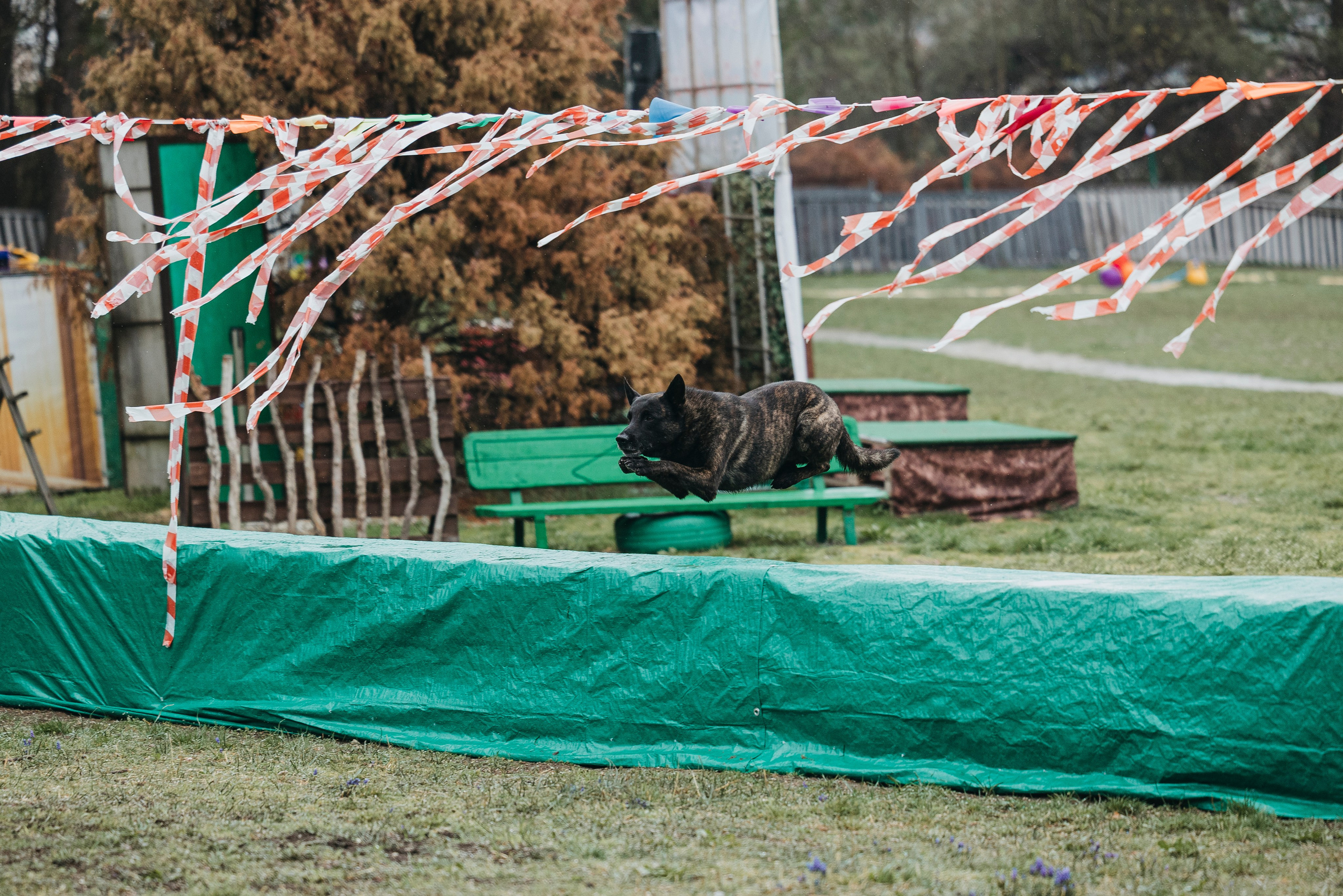 Геленджик Мондьоринг. Фотограф-анималист Анна Маринич