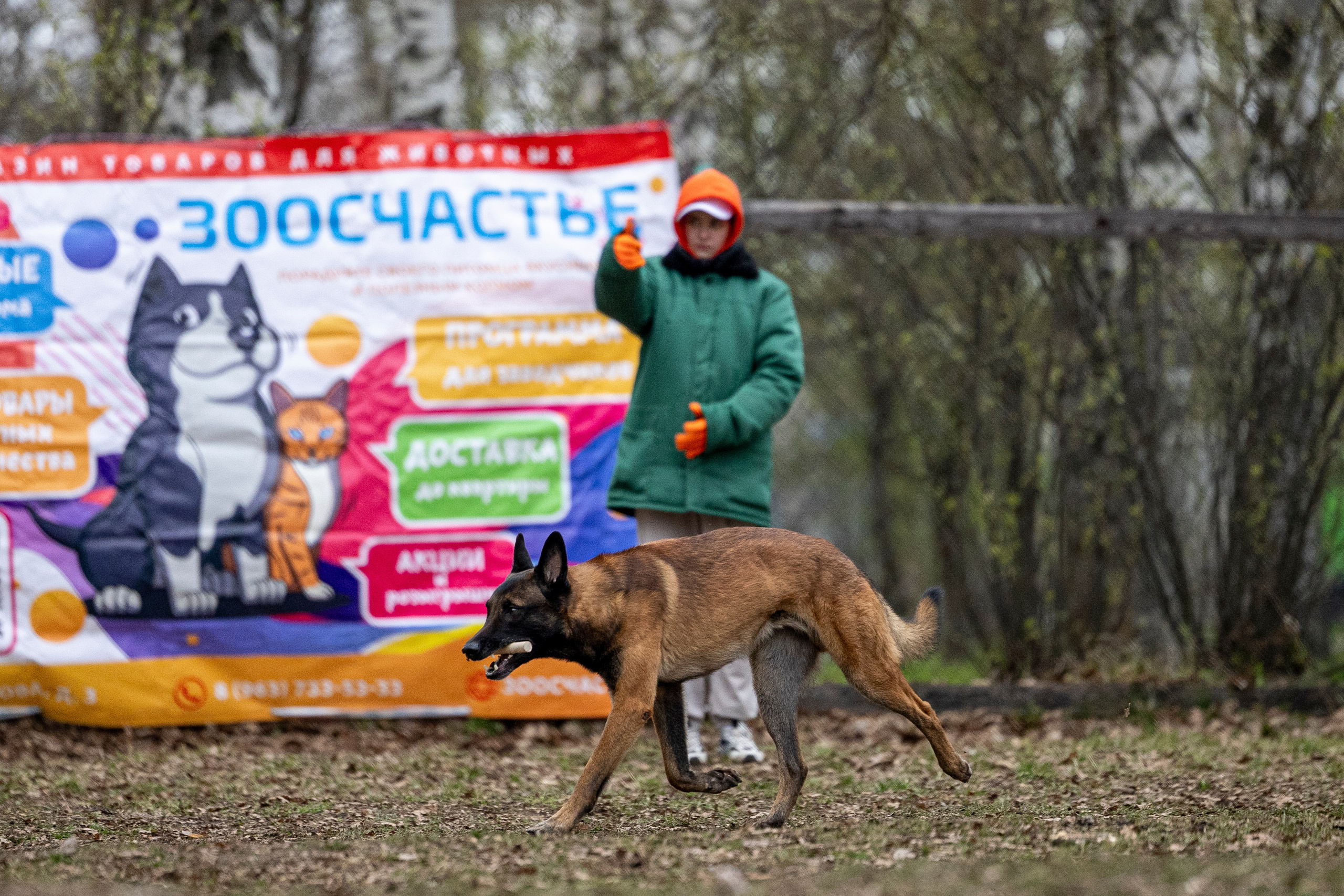 Квалификационные состязания по мондьорингу г. Вологда 11.05.24. Фотограф-анималист Анна Маринич