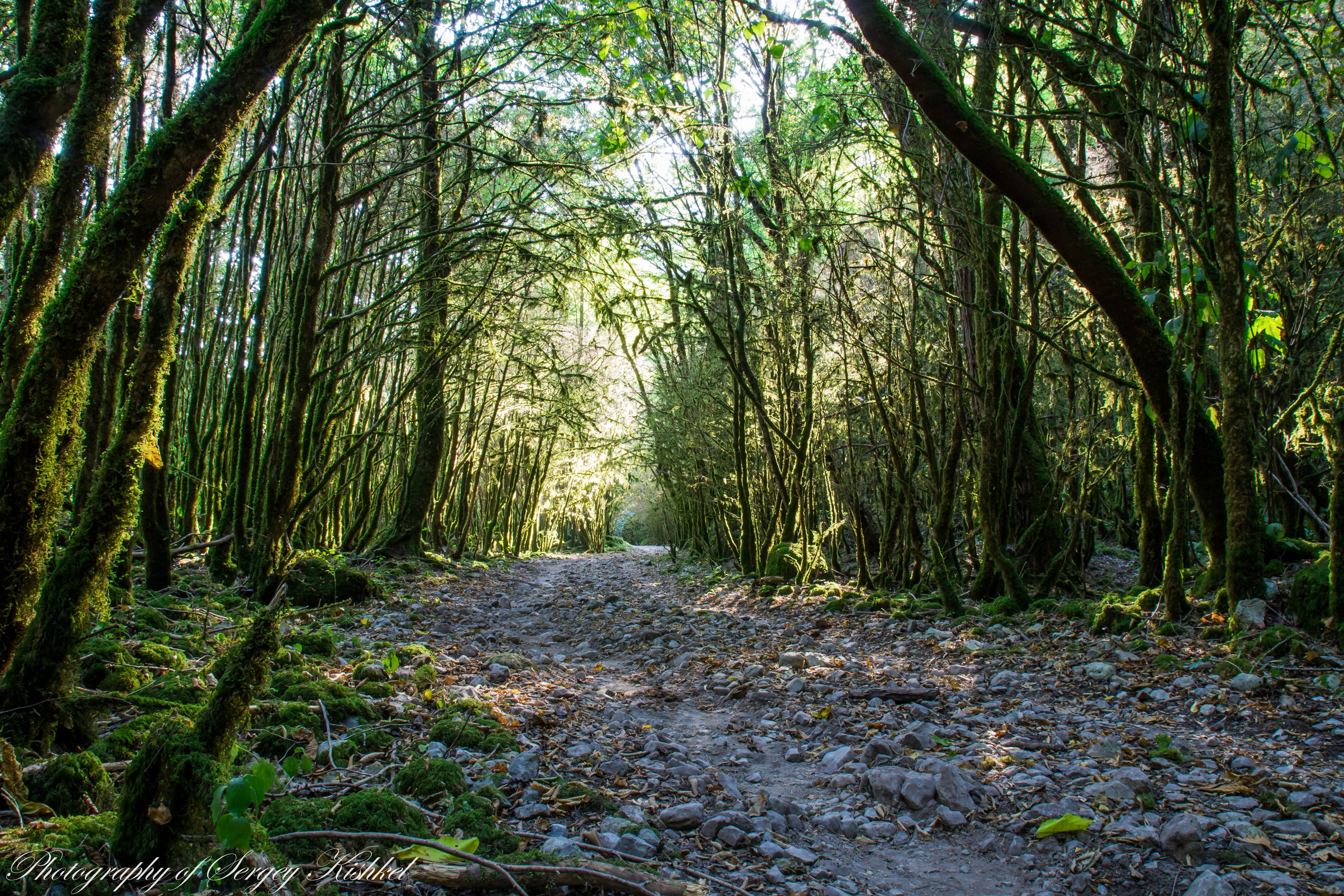 Природа, пейзажи, закаты, рассветы. Фотограф Сергей Кишкель Дананг Нячанг Фукуок