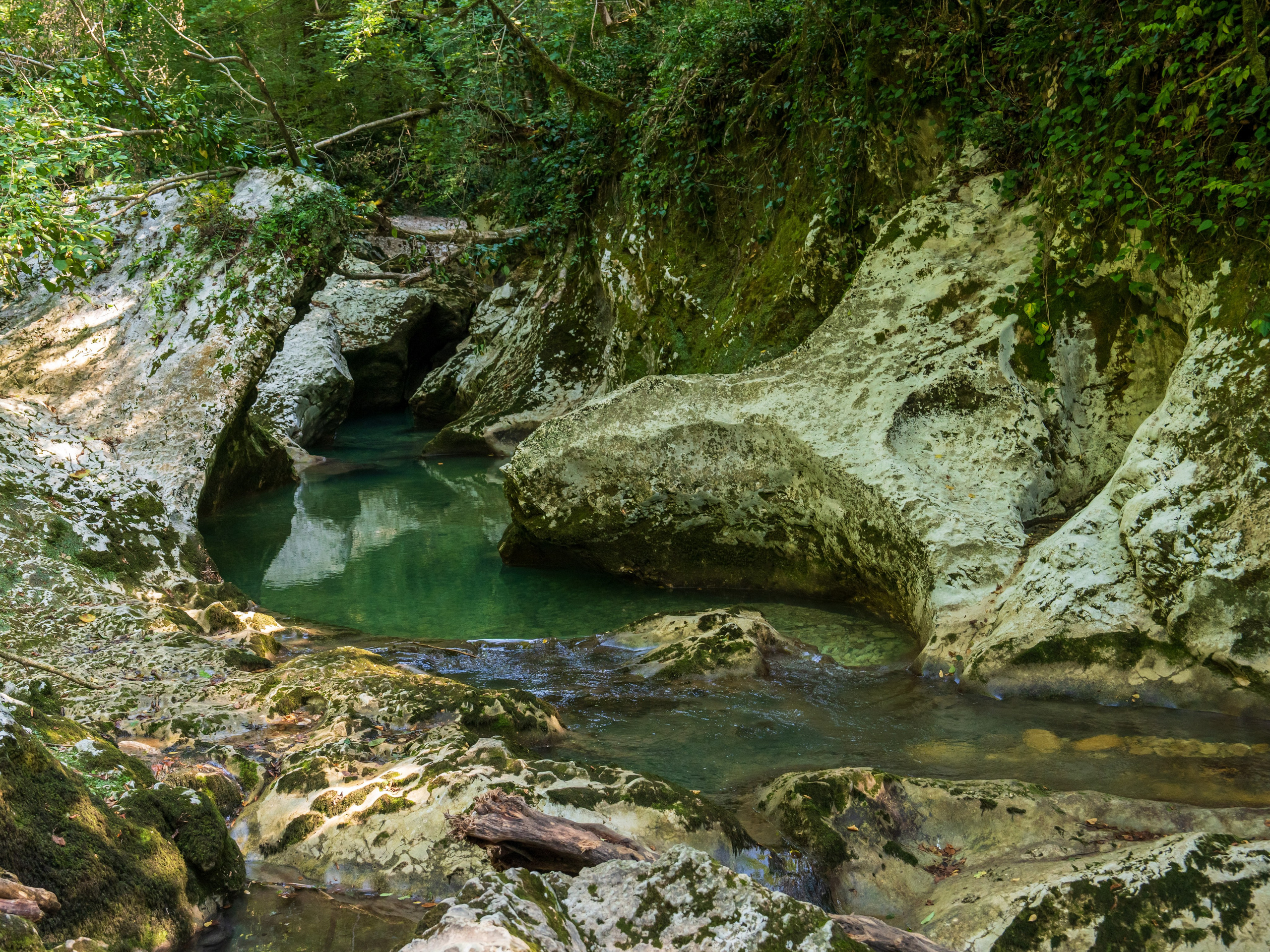 Mice мероприятие — тур по Абхазии. Репортажный фотограф в Красной Поляне и Сочи Павлюченко Екатерина