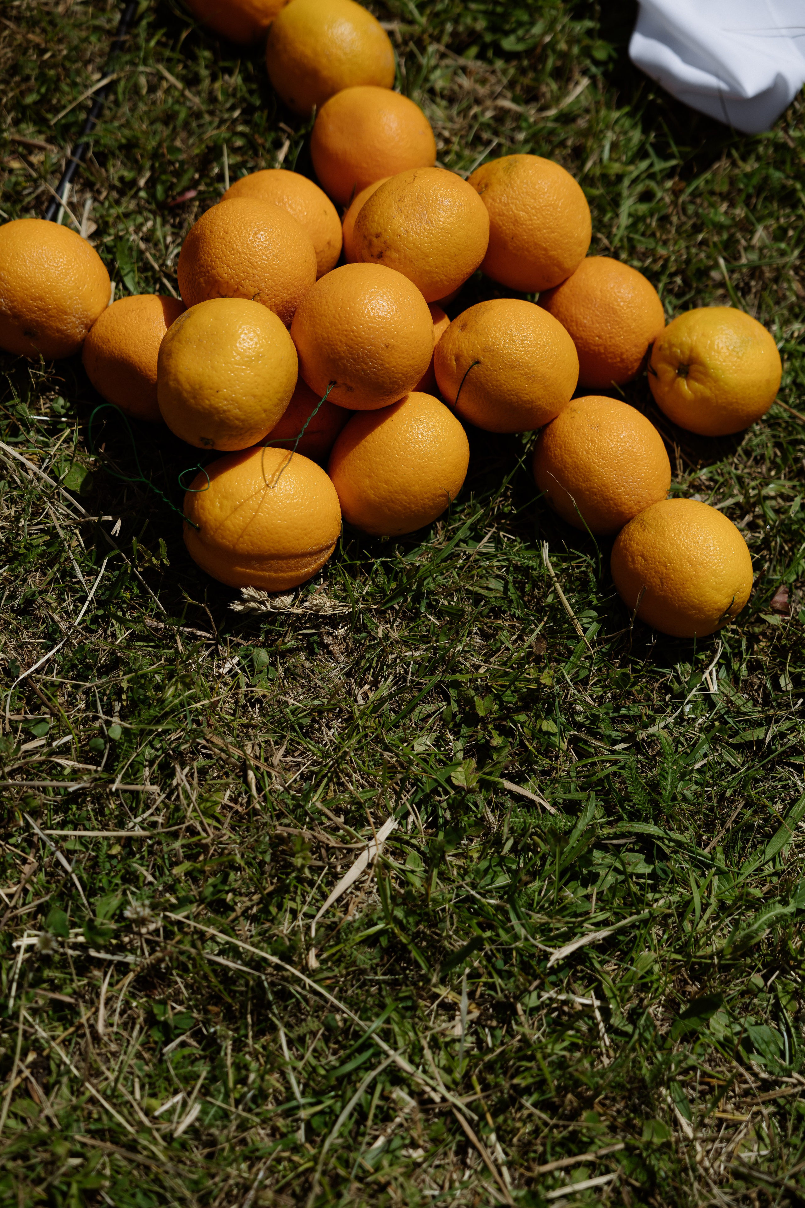 Владислав & Виктория. RETOUCH-HOUSE