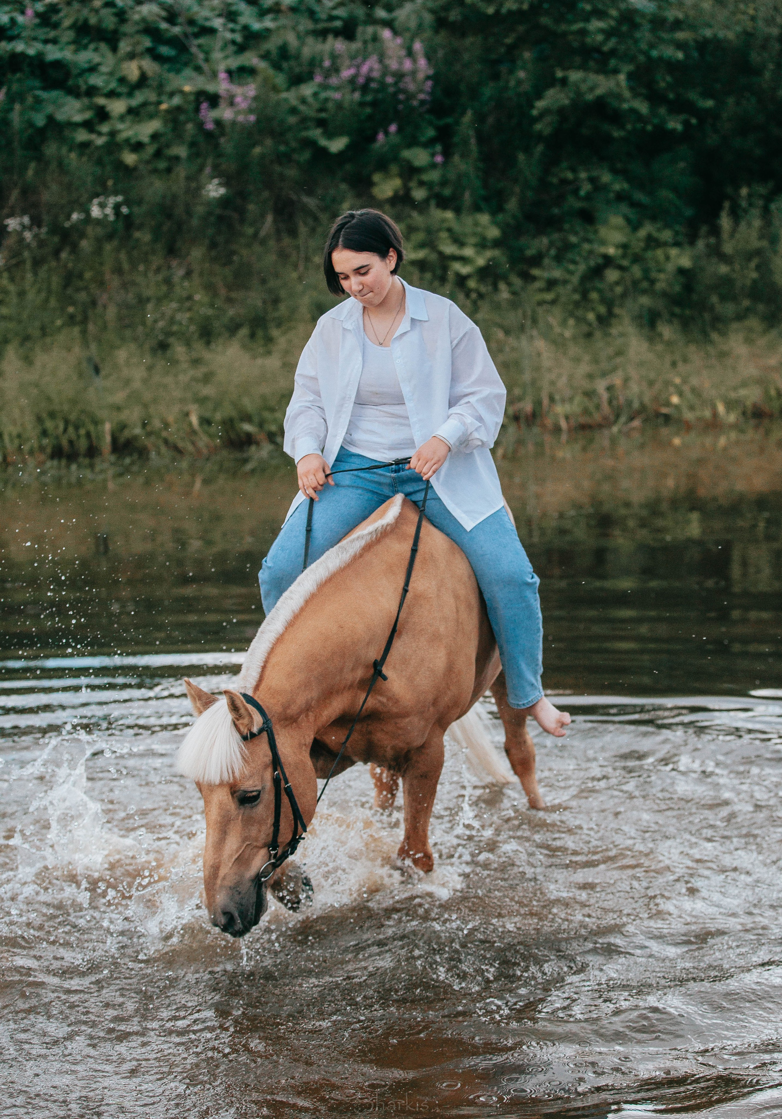 Алина и Гешефт. Главная