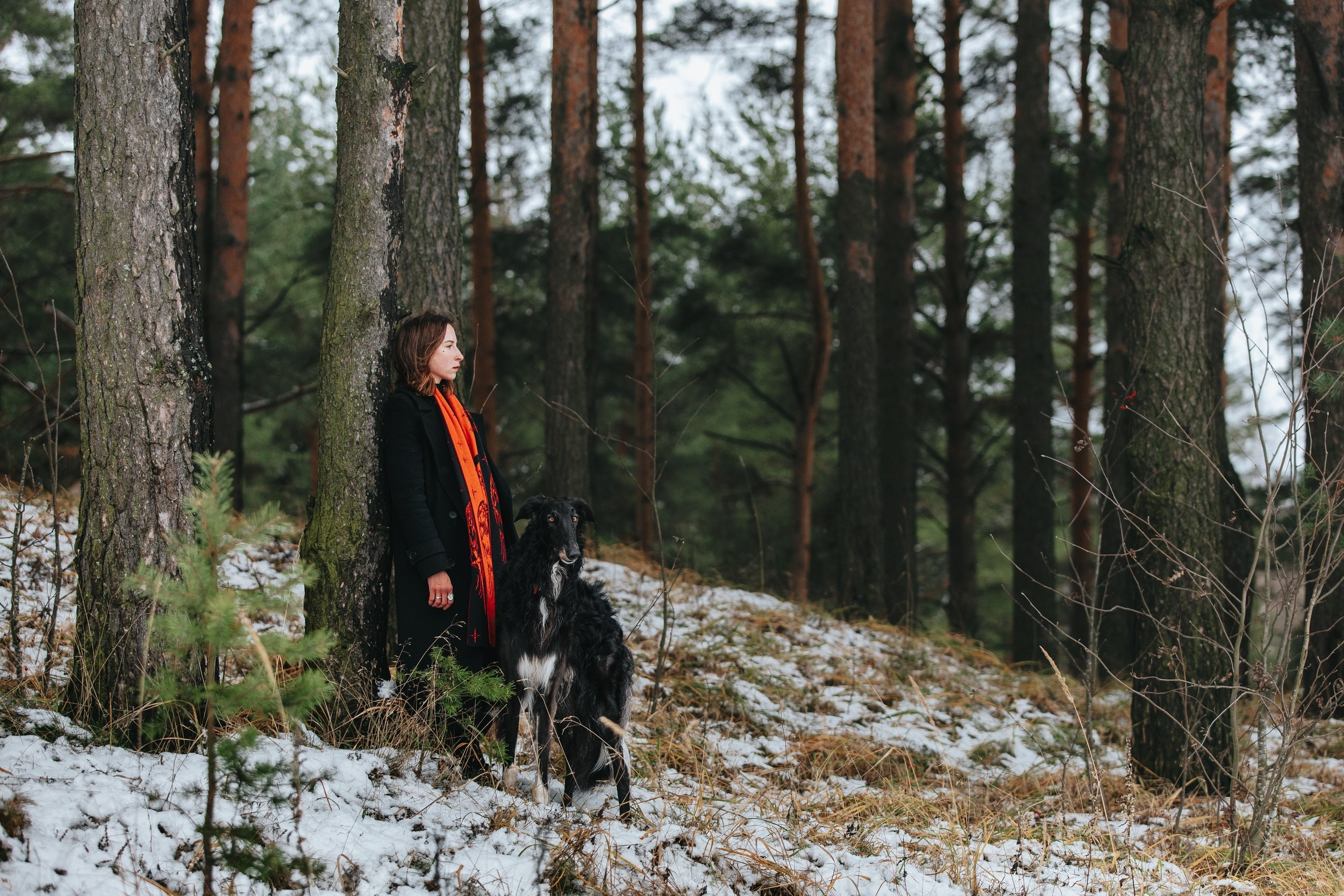 Катя и Гримм. Главная