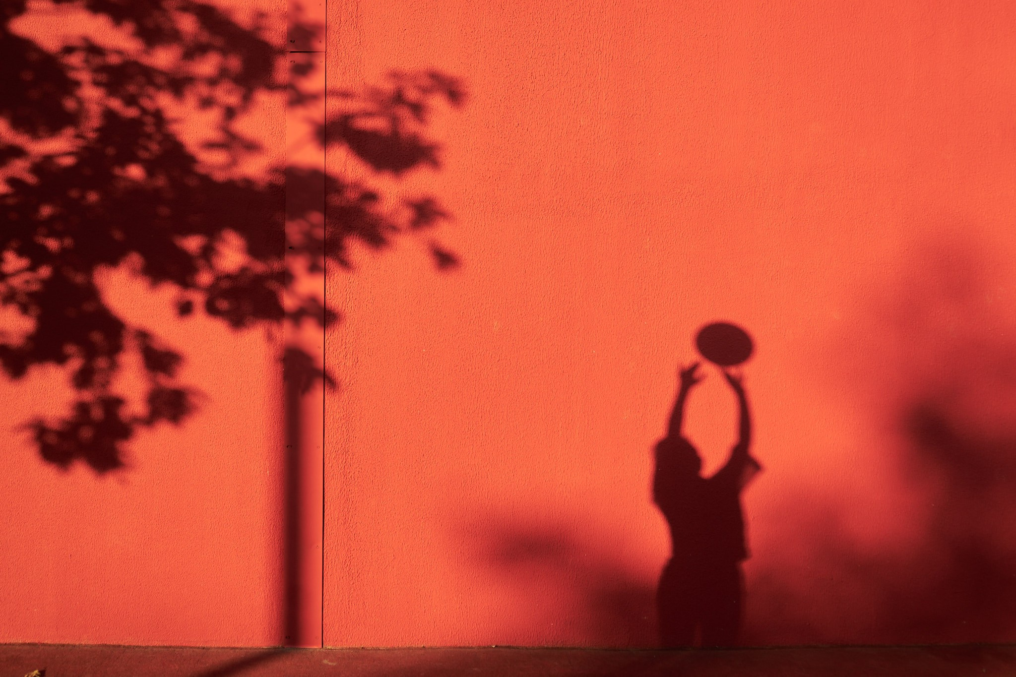 Street photo. Фотограф в Краснодаре Виктория Антонова | photobelka.pro