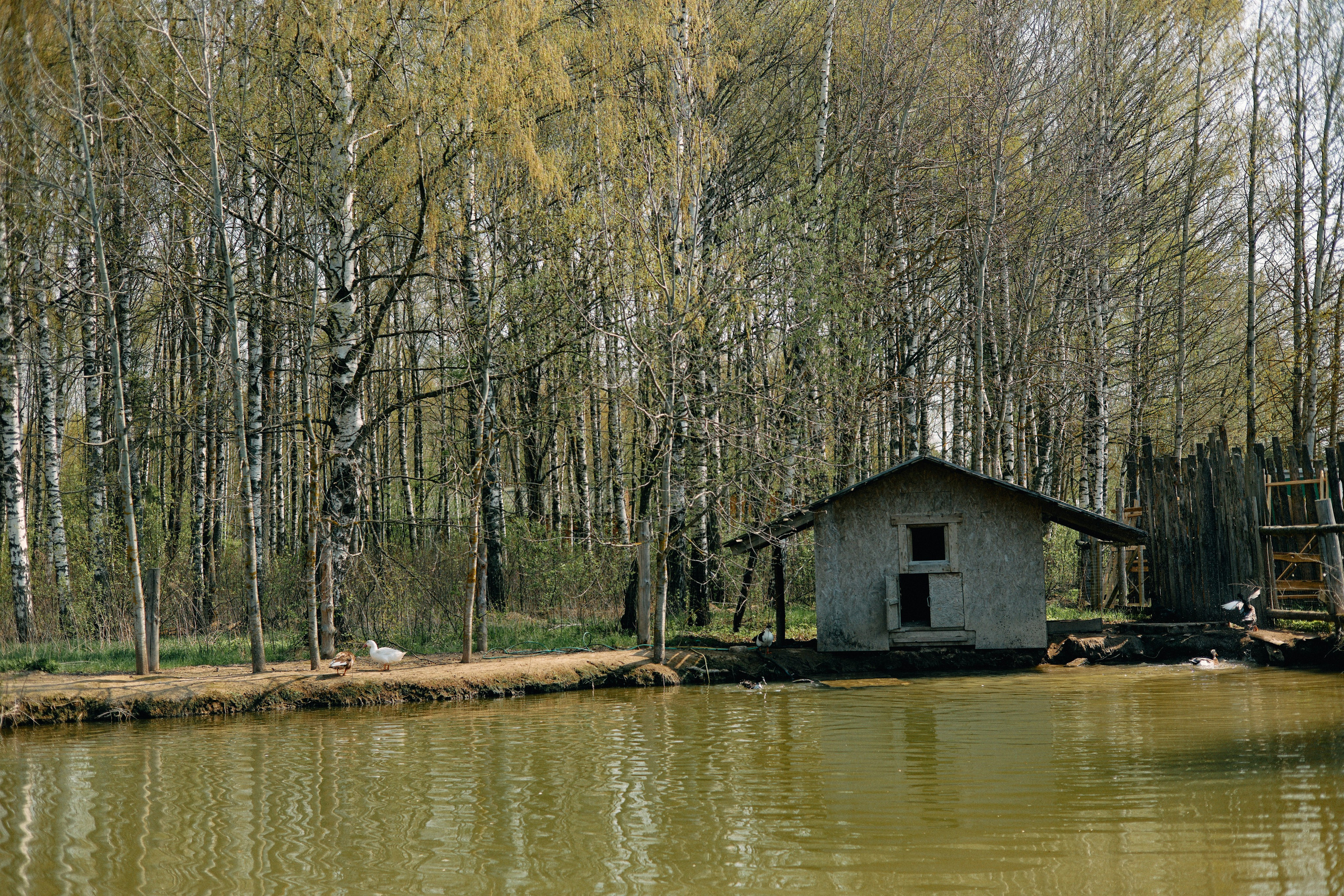 Бутик-отель Поле летом. Профессиональный Фотограф во Владимире, в Москве и в Суздале — Полина Романычева