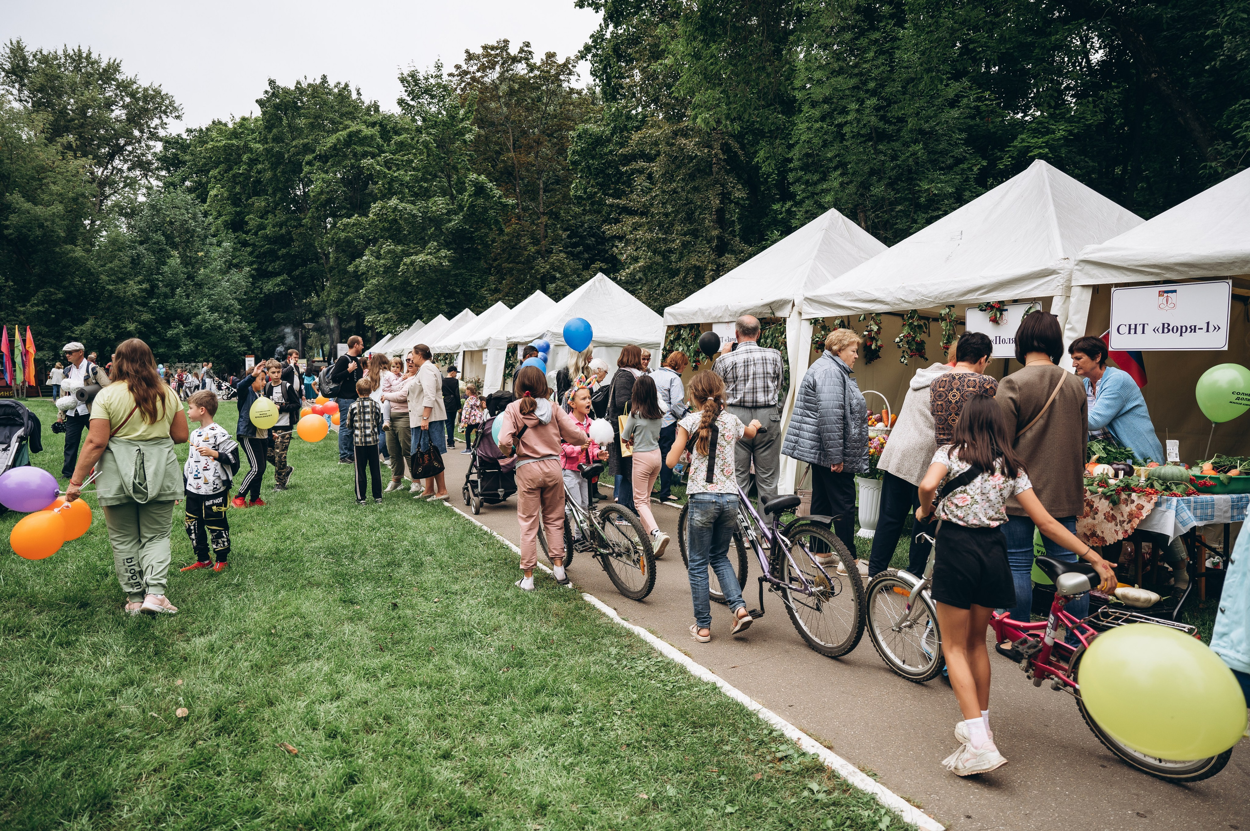 День города 2023. Фотограф Илья Солдаткин