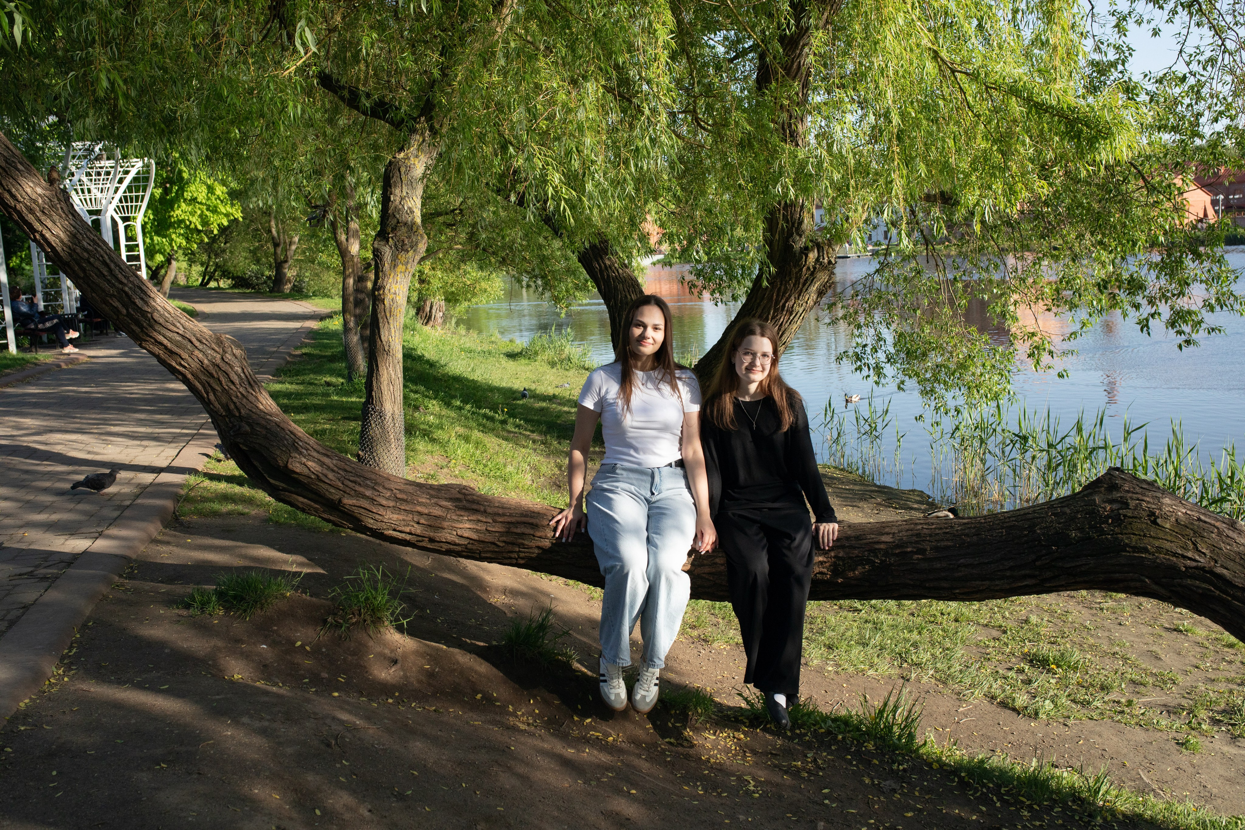 19/05/26 Лошицкий. Выпускные альбомы Cardsi