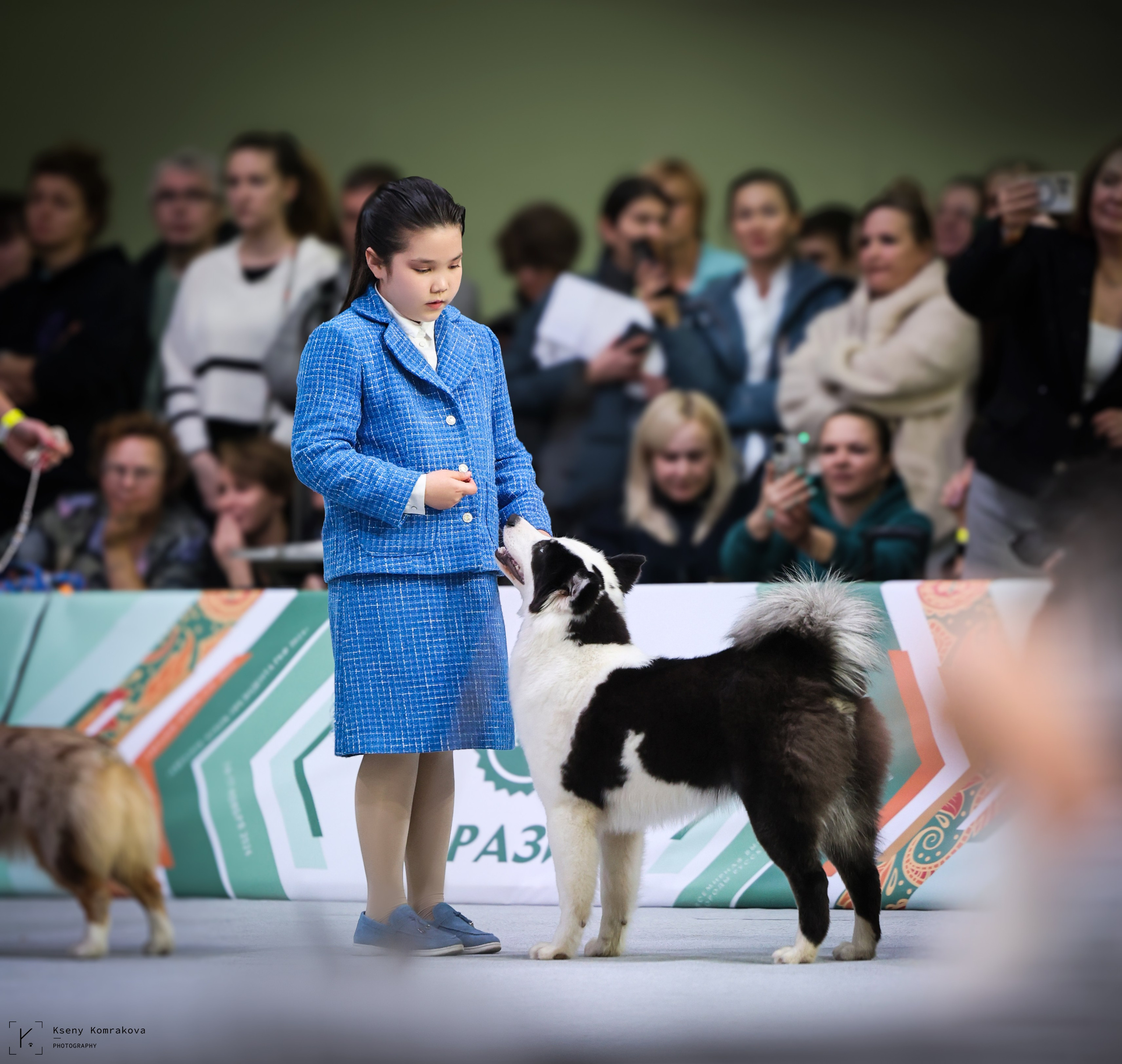 Анималистика. Репортаж. Индивидуальная съемка