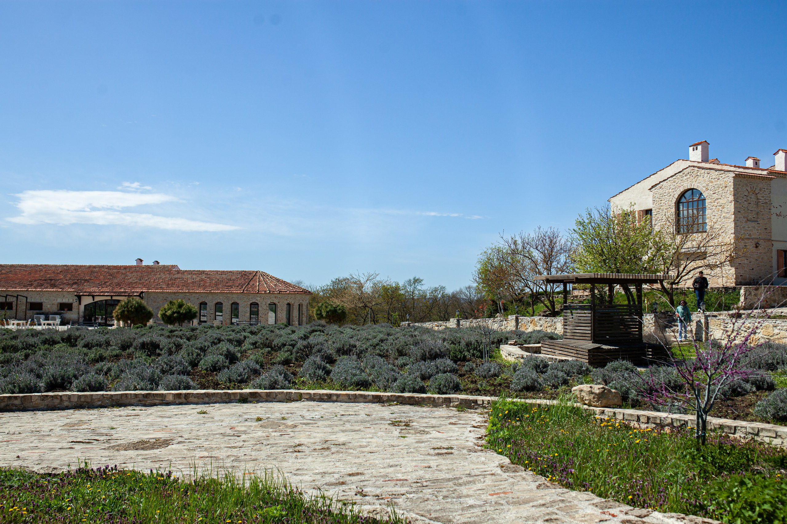 Фотосессии в Шато Андре — фотограф Аркадий Славский