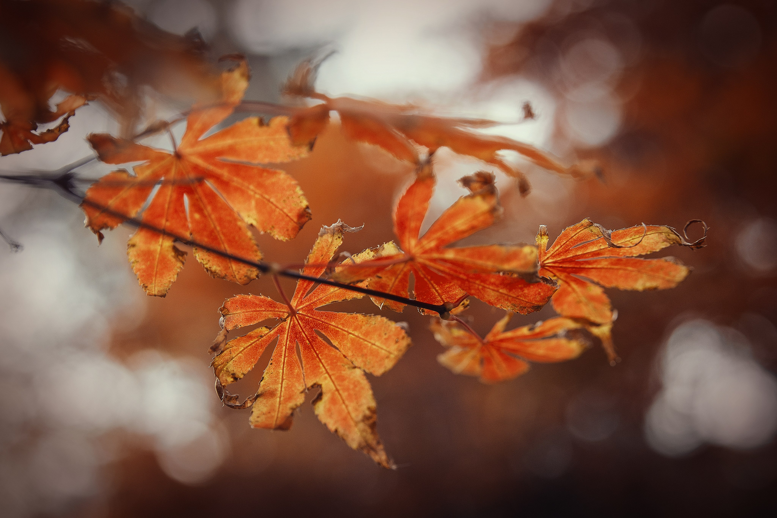 Загадочный Китай. FotoGraf