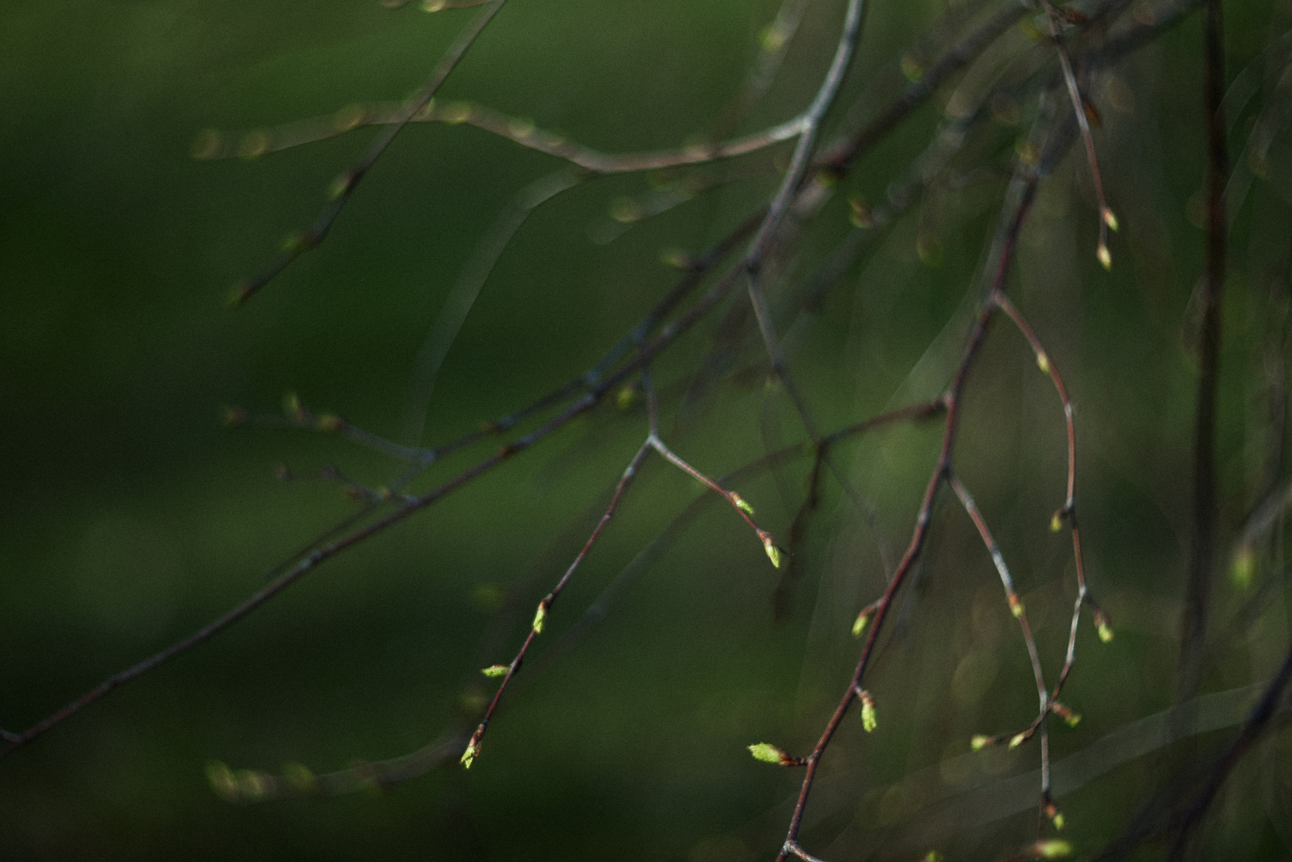 L19. Свадебный фотограф Санкт-Петербург DanyaPhotoart