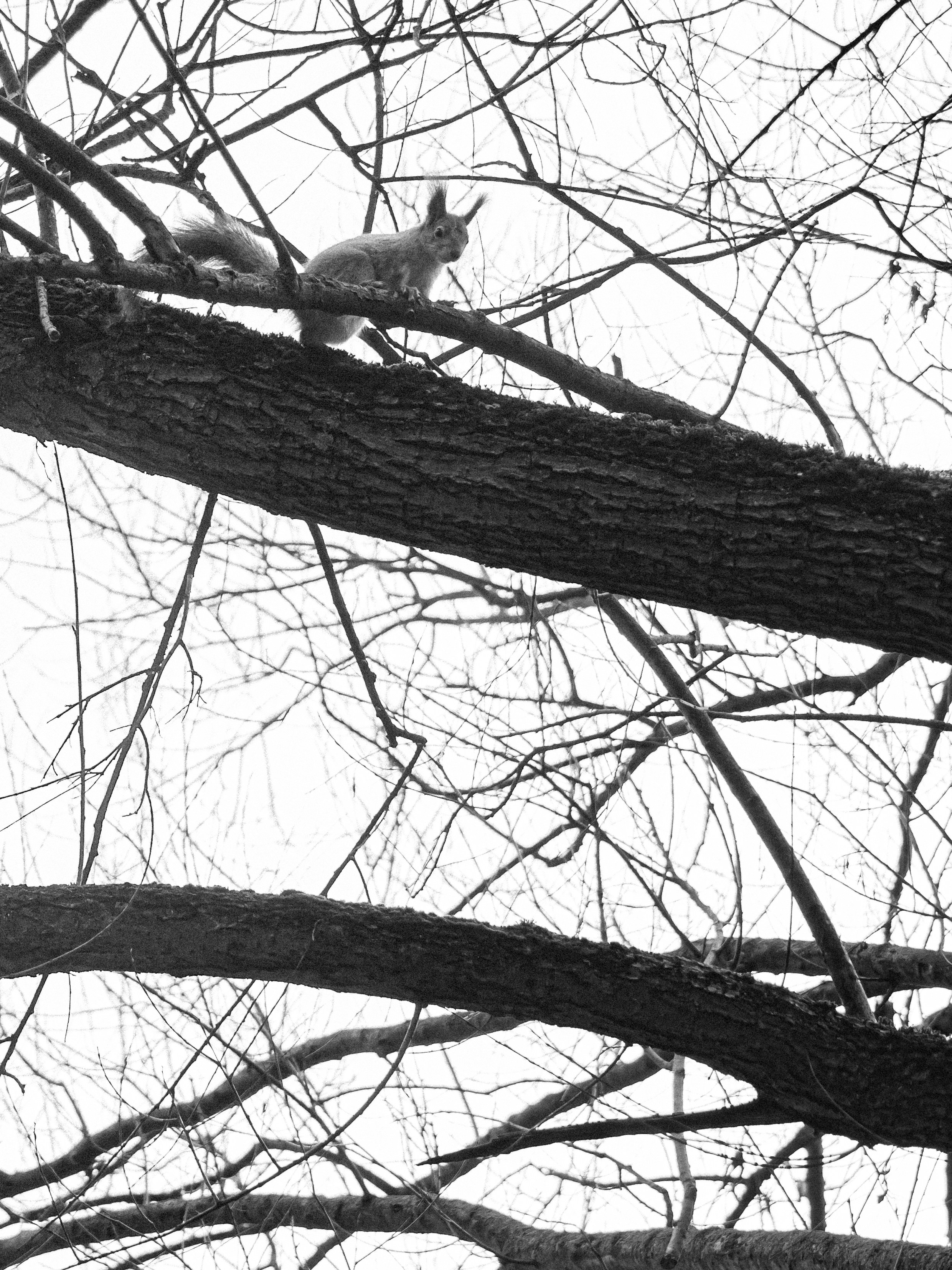 Moscow Selection. M. Neizvestniy — уличная и спортивная фотография