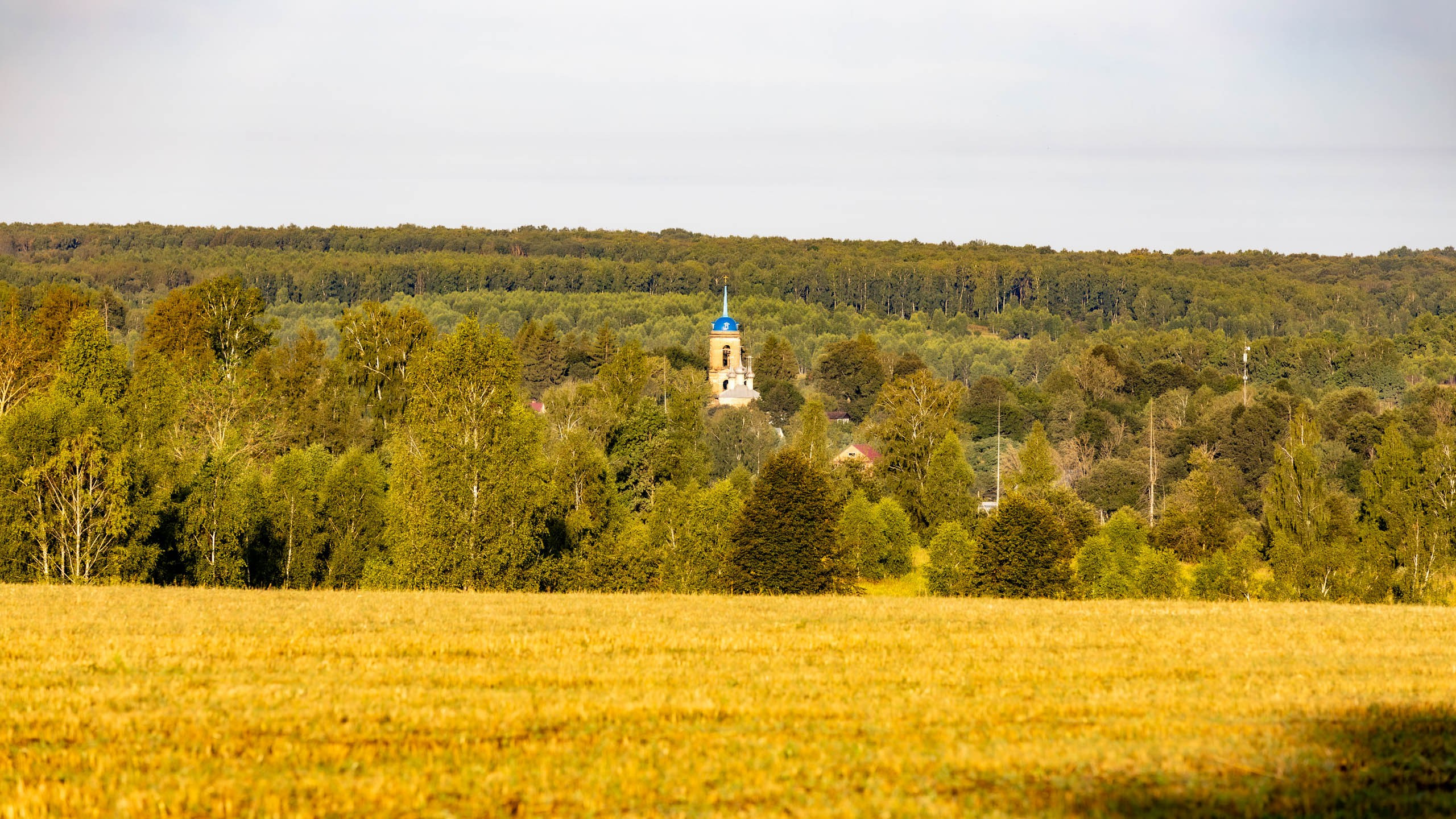 Тула, полет на воздушном шаре