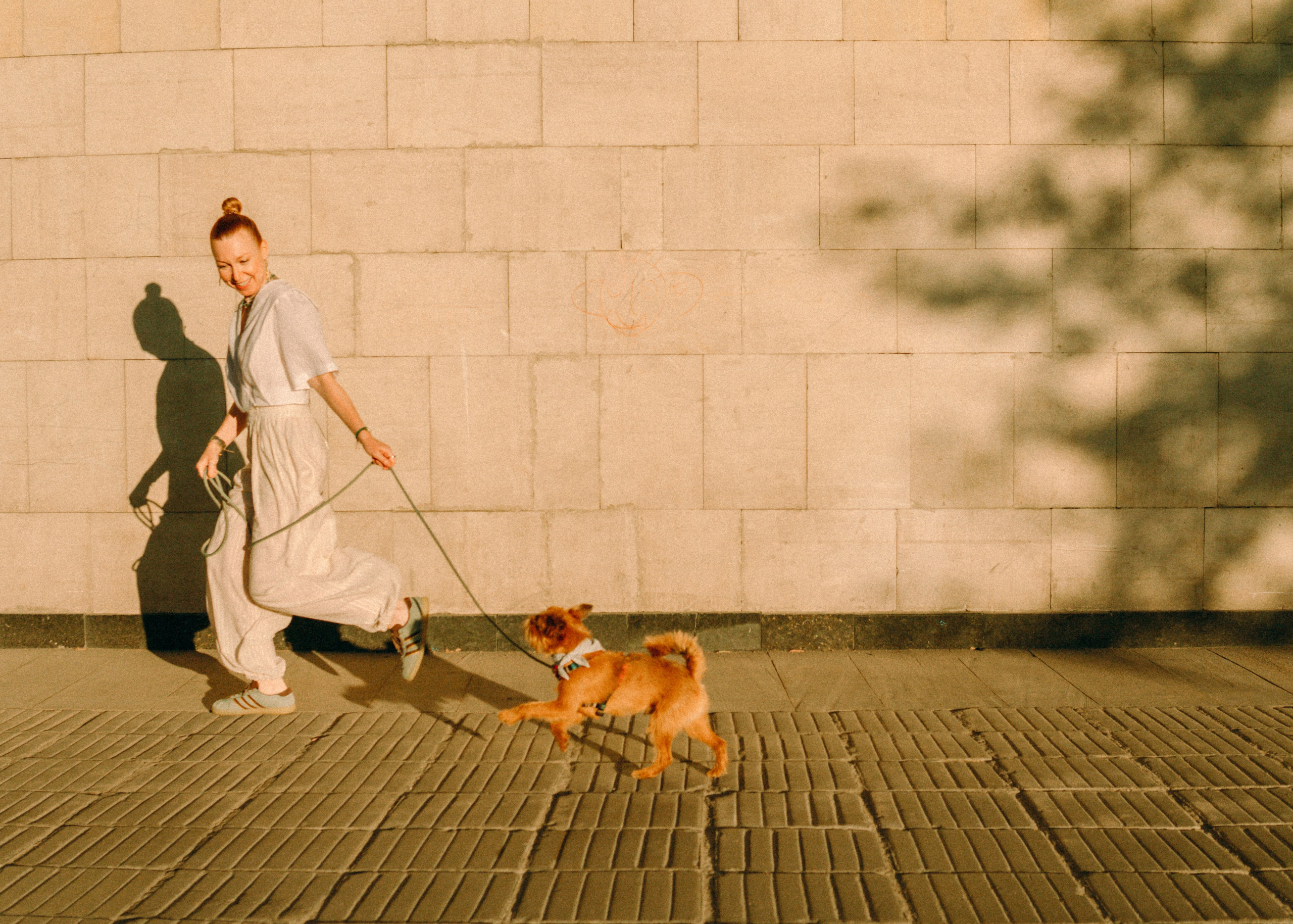 Лена и Альфи. Фотограф-анималист Ксения Воробьева, Москва