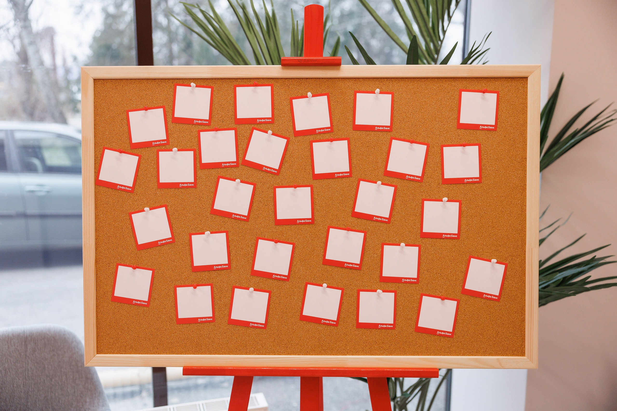 Открытие офиса Альфа Банк. Фотограф Ставрополь Петр Голубенко