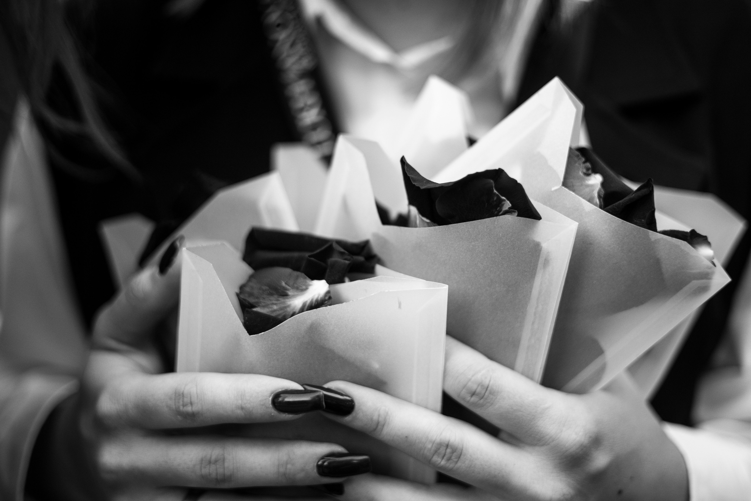 Илья и Александра. Nikolpinhasova