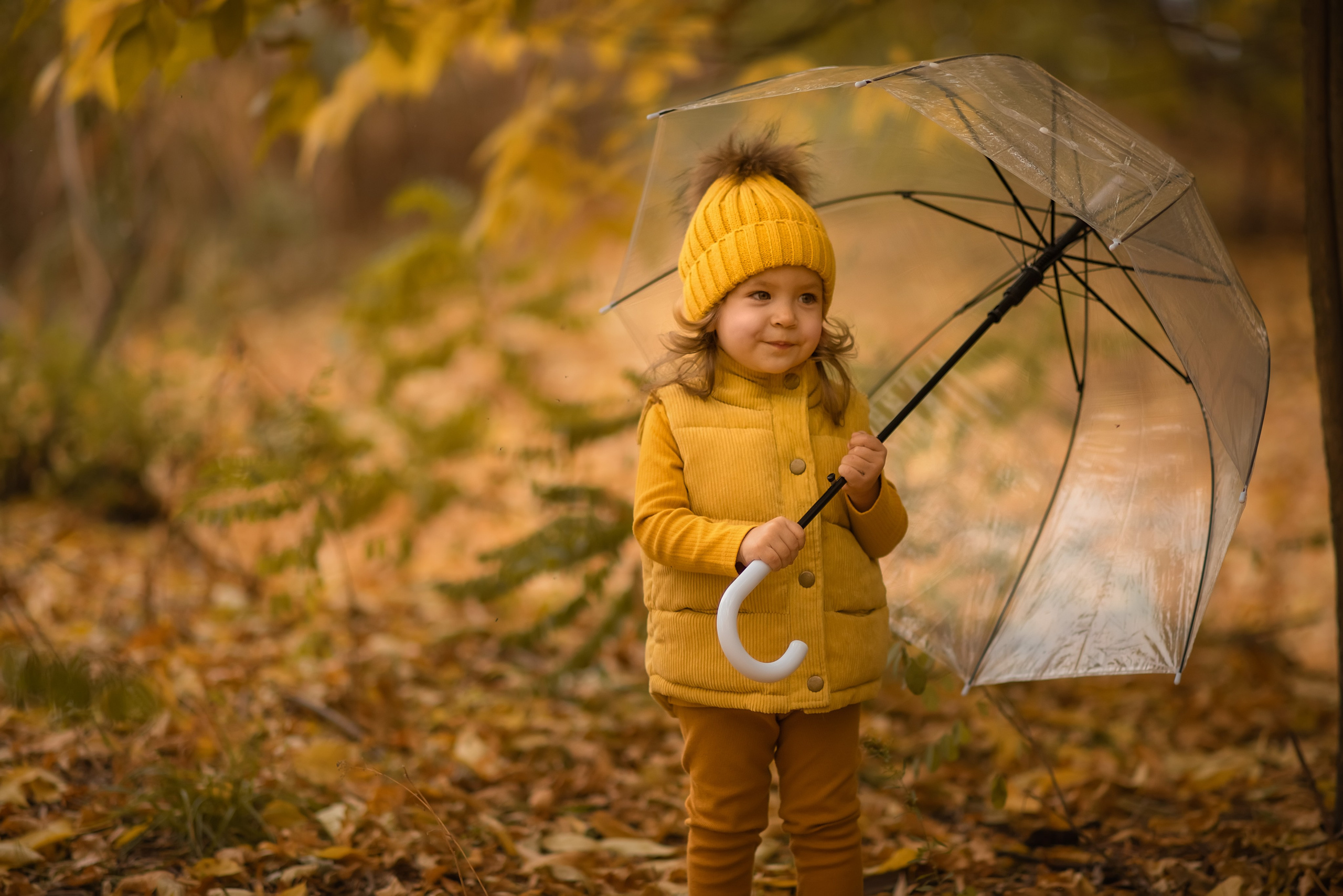Дети осень. Семейный, детский и женский фотограф в Ростове-на-Дону Кирилина Екатерина