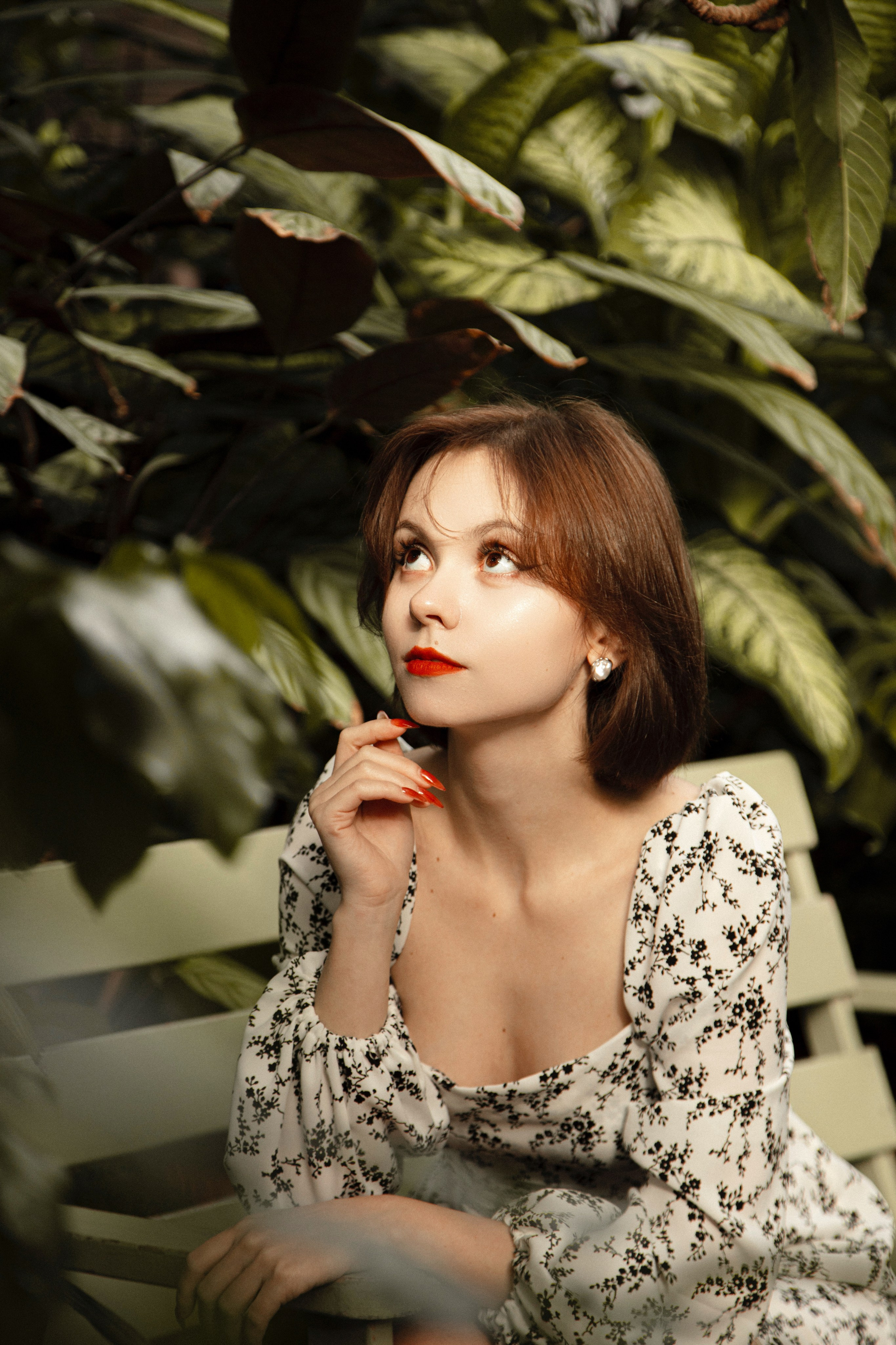 Оранжерея Таврического сада