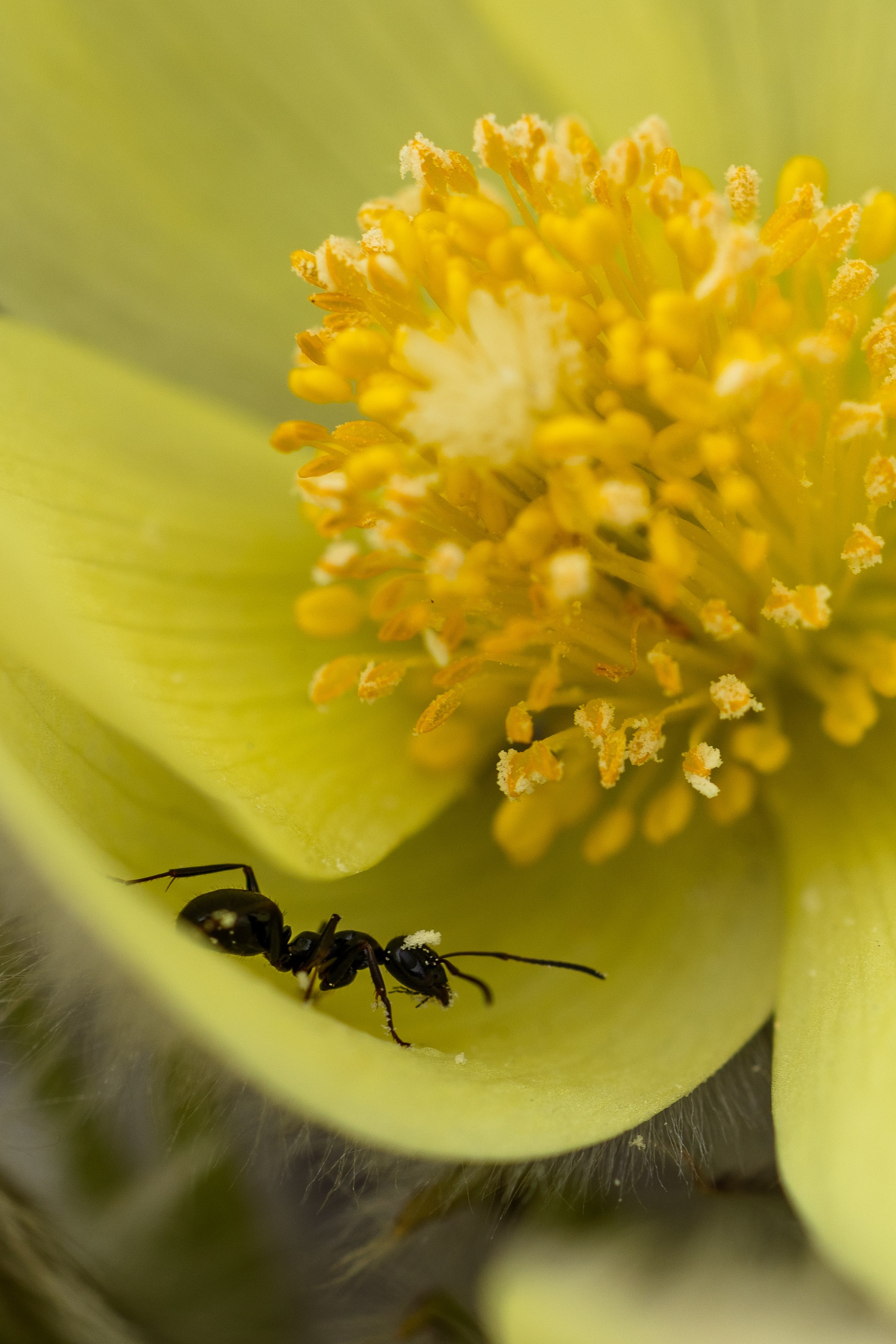 ПЕЙЗАЖ И ЛЮДИ. Саргылана Афанасьева