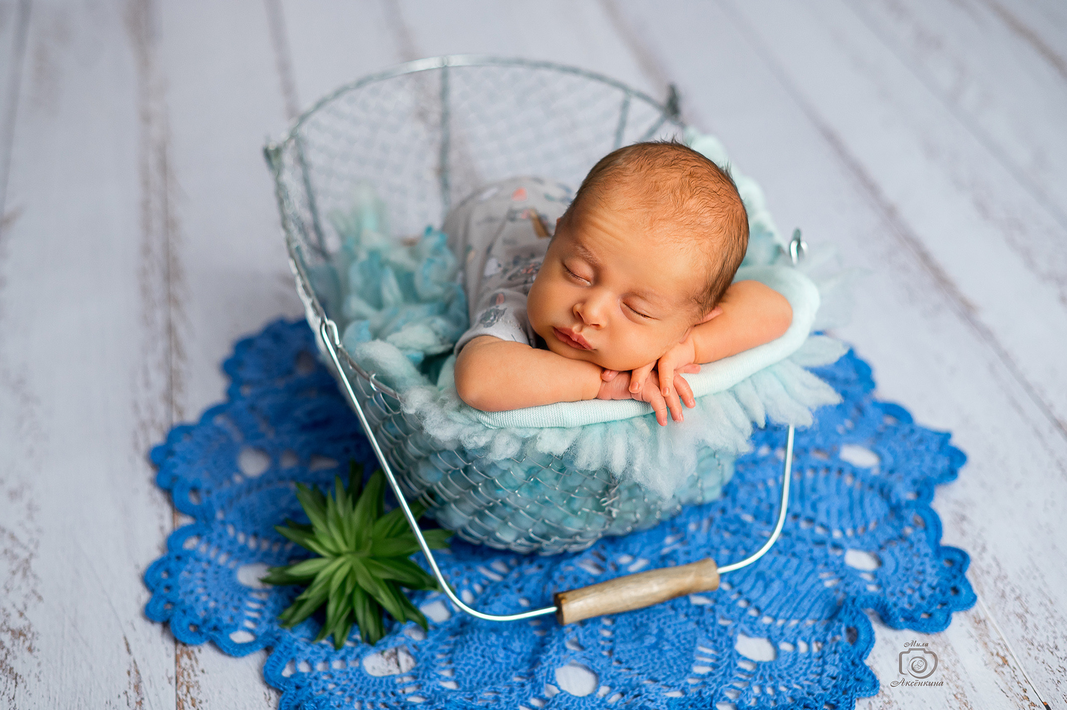 Портфолио новорожденных. Фотограф в Нефтеюганске Мила Аксёнкина
