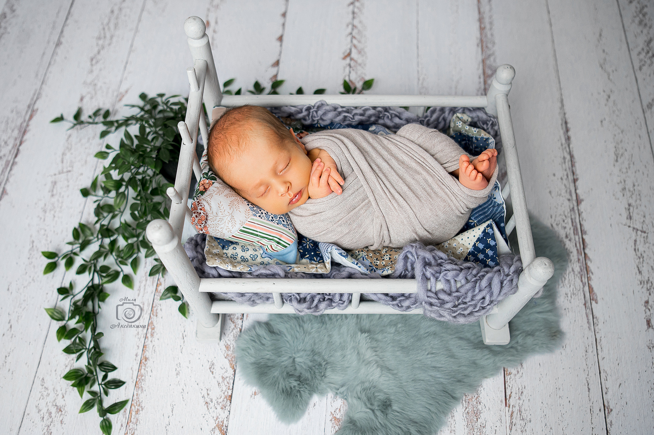 Портфолио новорожденных. Фотограф в Нефтеюганске Мила Аксёнкина