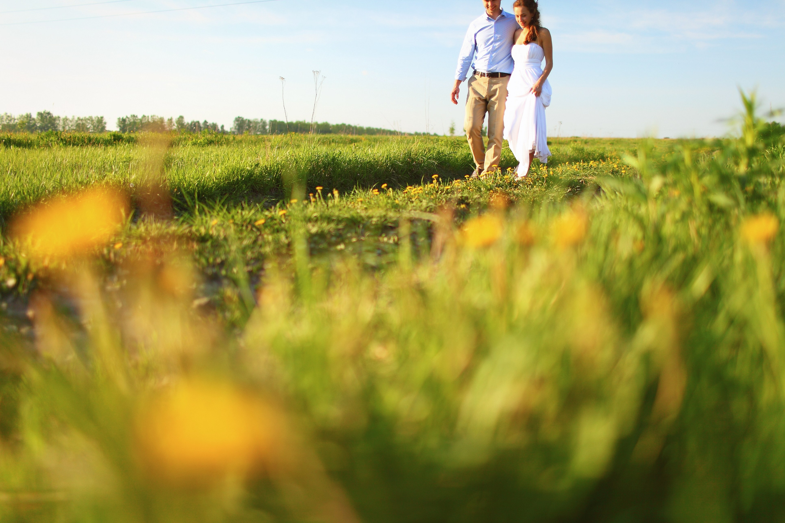 Душевная фотосессия пары в поле. Свадебный и репортажный фотограф в Ярославле и Санкт-Петербурге Роман Микрюков