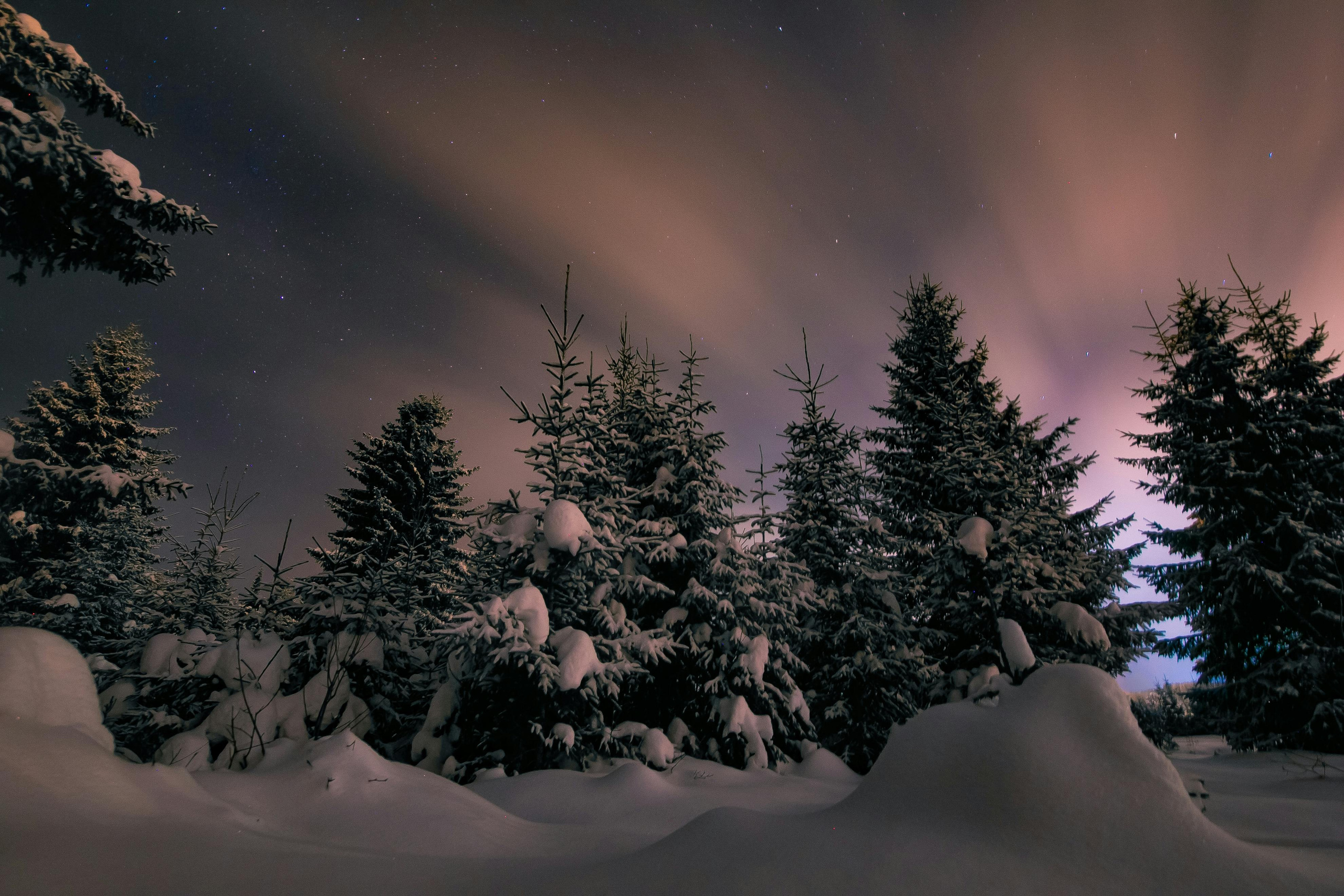 Средняя полоса. Свадебный и репортажный фотограф в Ярославле и Санкт-Петербурге Роман Микрюков