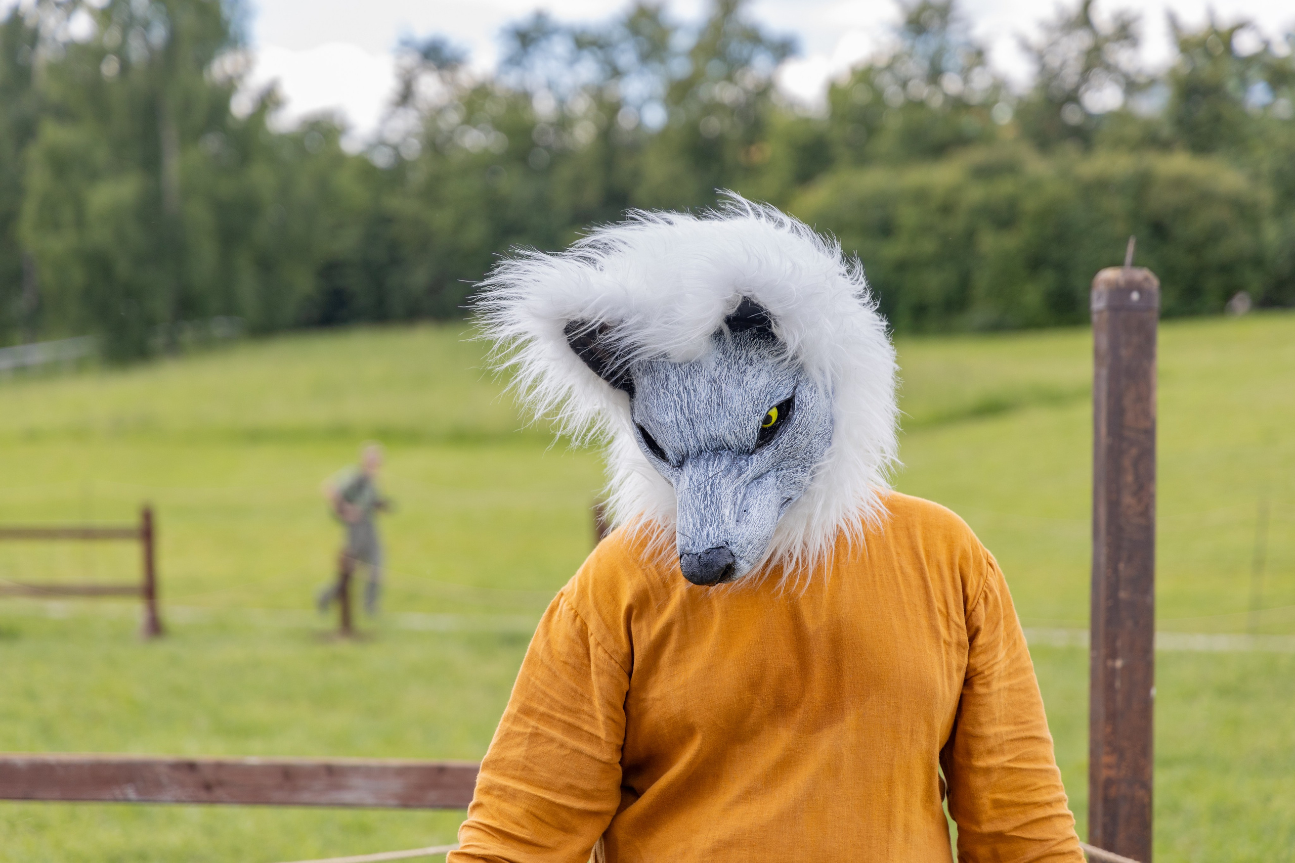Земля Легенд: Солнце и медведь Фест. Репортажный, семейный и студийный фотограф в Москве Демин Алексей