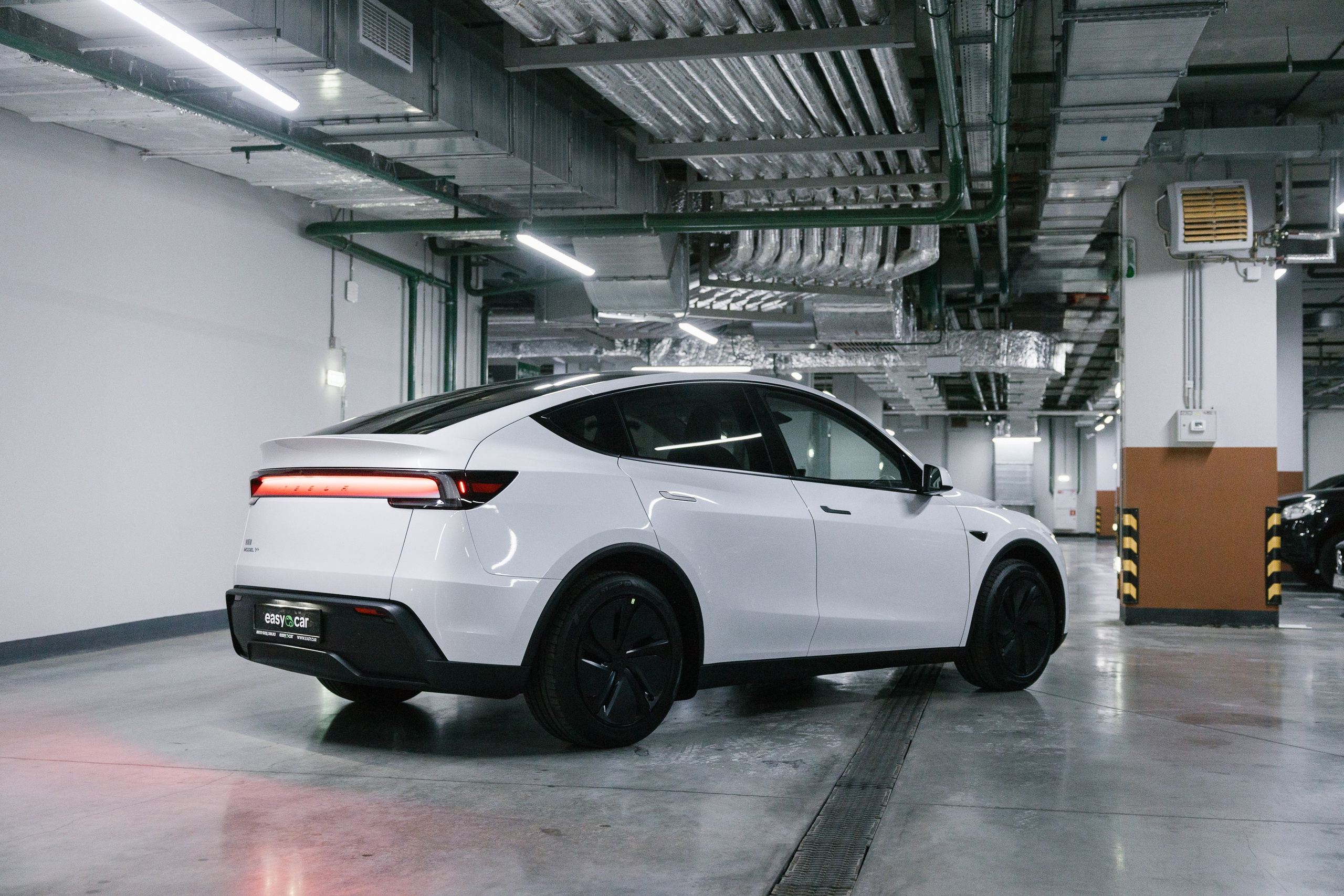 Model Y+. Эстетика Sveta