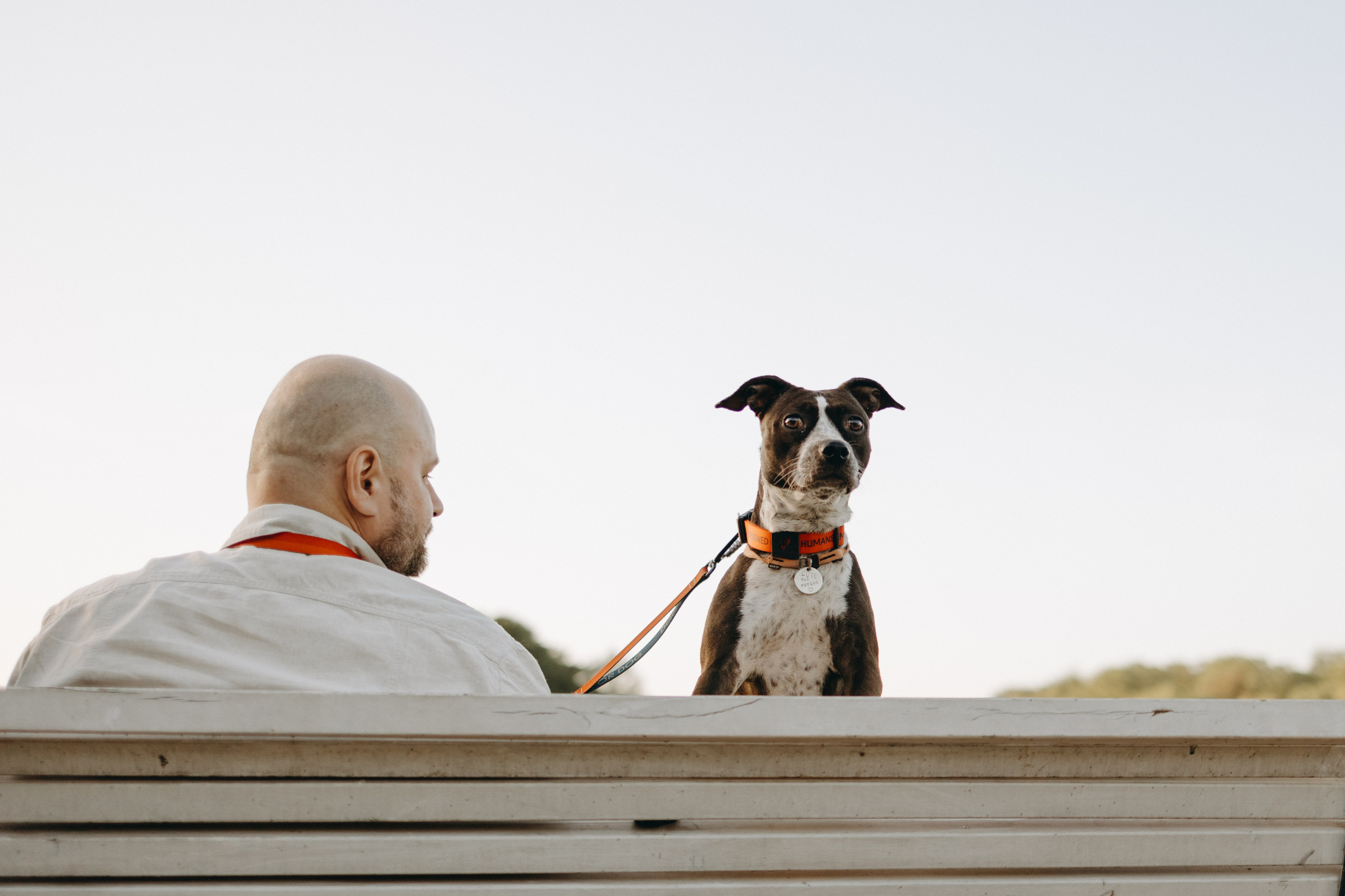 Татьяна, Сергей и их Булочка и Пончик. Фотограф — Анималист | Санкт-Петербург