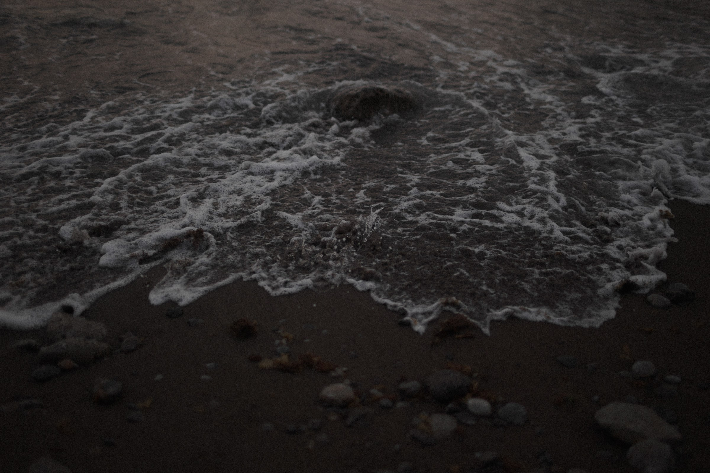 На тропе…. Sovushka DS