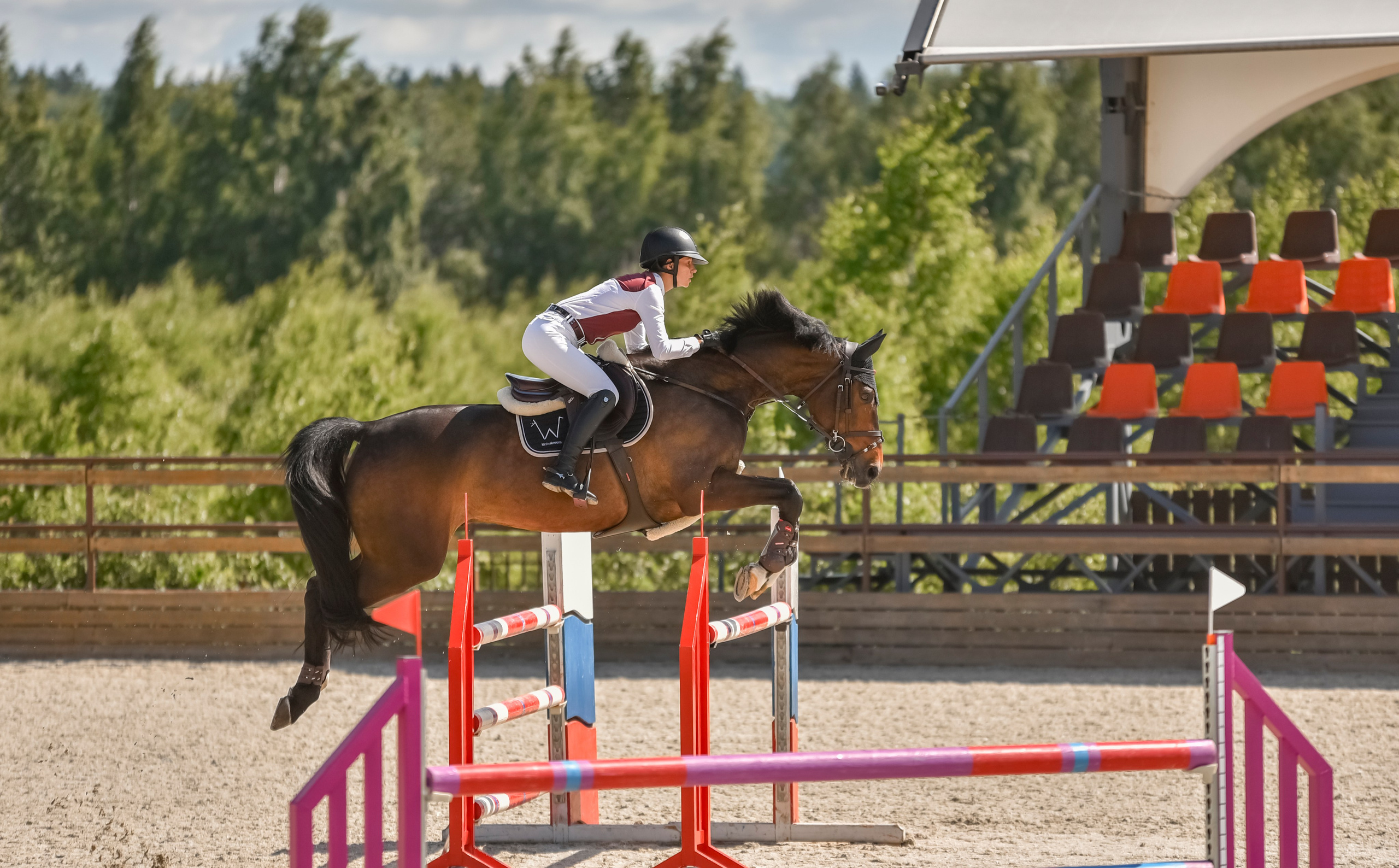 Репортажная съемка конных мероприятий. Конный фотограф из Москвы Ирина Бондаркова