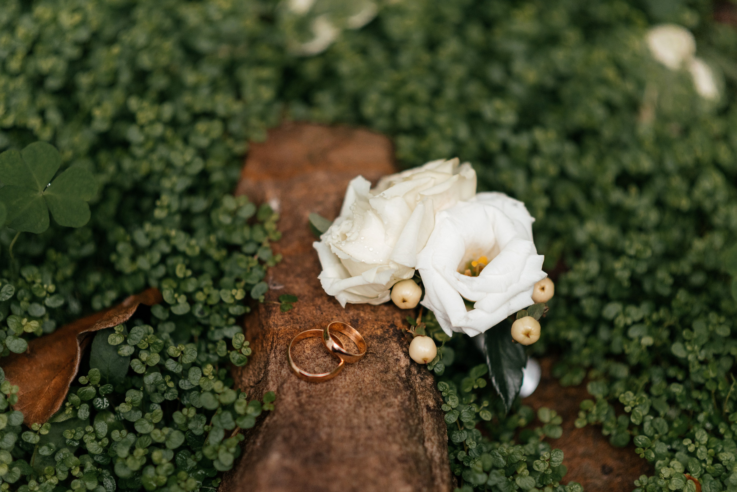 Алефтина & Евгений. Свадебный фотограф в Донецке — Вита Донец